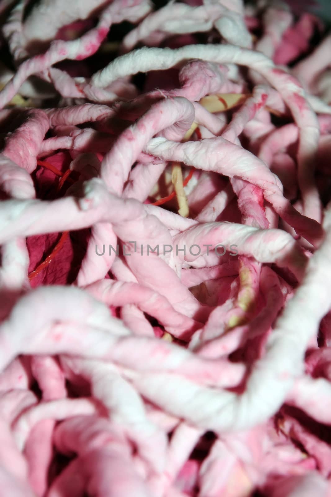a tangled up abstract of guts and intestines