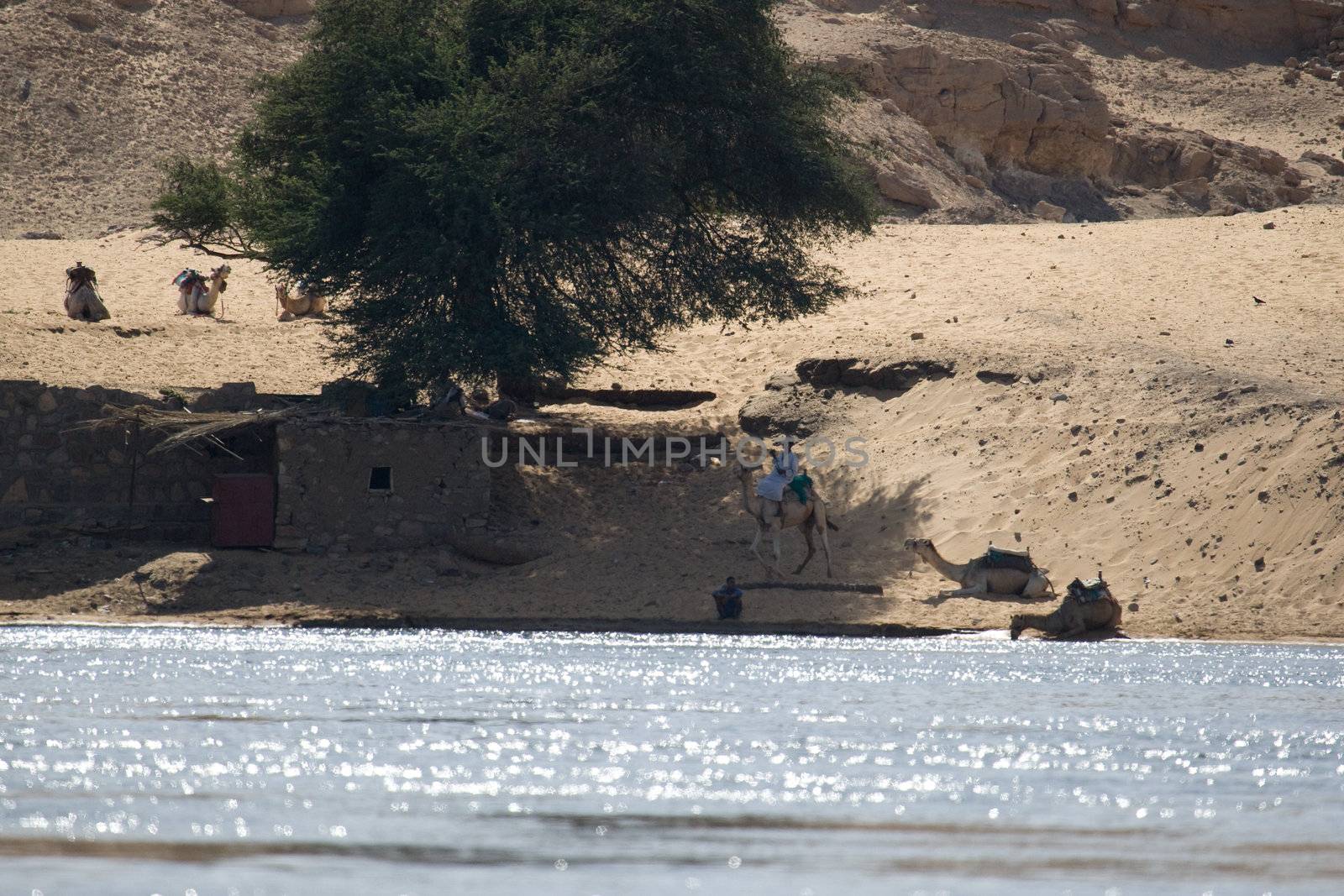 We take a closer look at life on Nile River on MAY 27, 2008, while having a felucca sailboat ride from Aswan to Elephantine Island and to a nubian village.