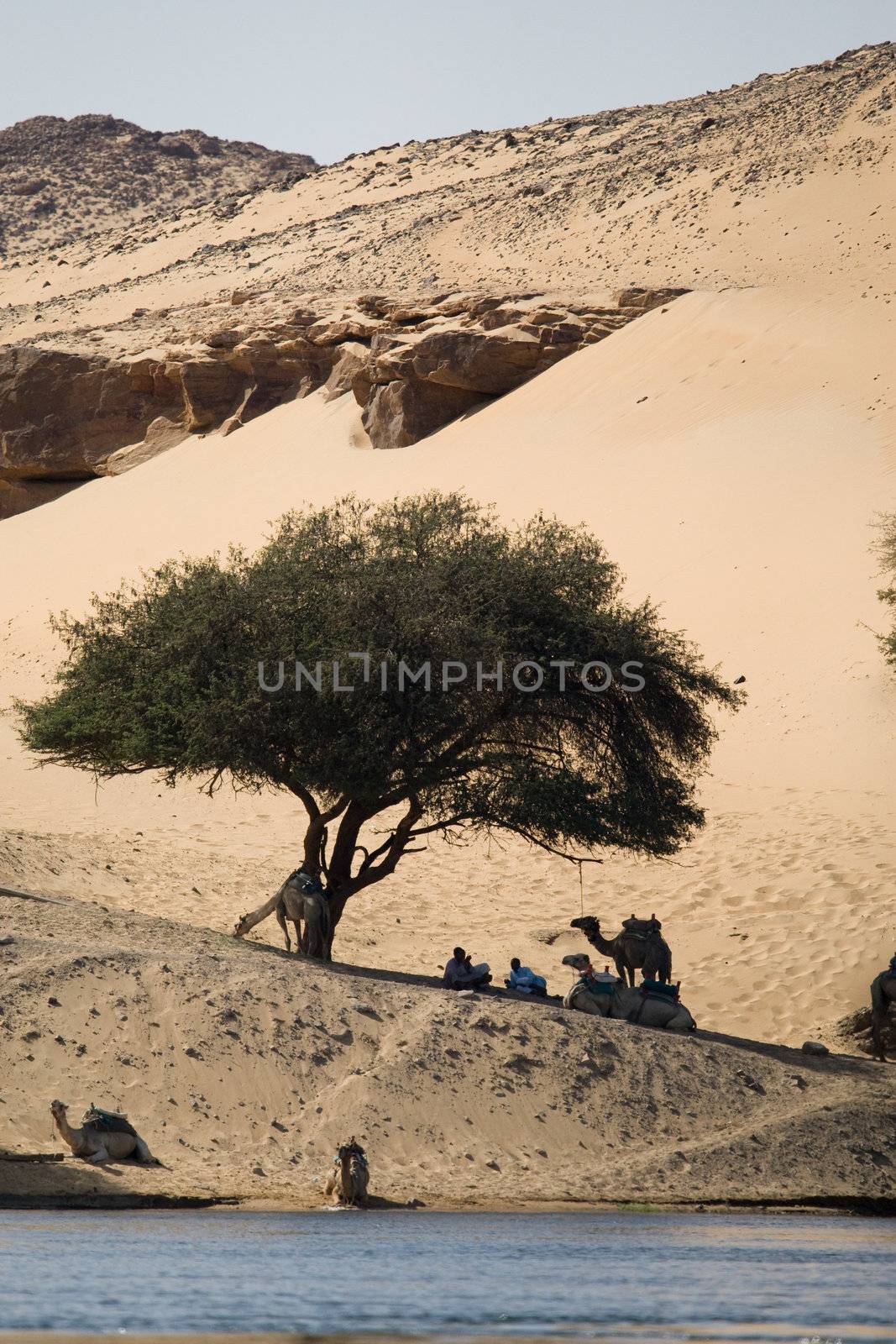 Nile River near Aswan, Egypt by MihaiDancaescu