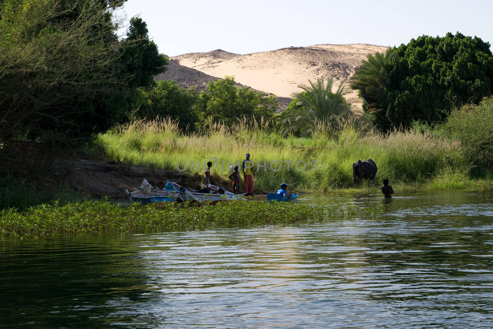 We take a closer look at life on Nile River on MAY 27, 2008, while having a felucca sailboat ride from Aswan to Elephantine Island and to a nubian village.