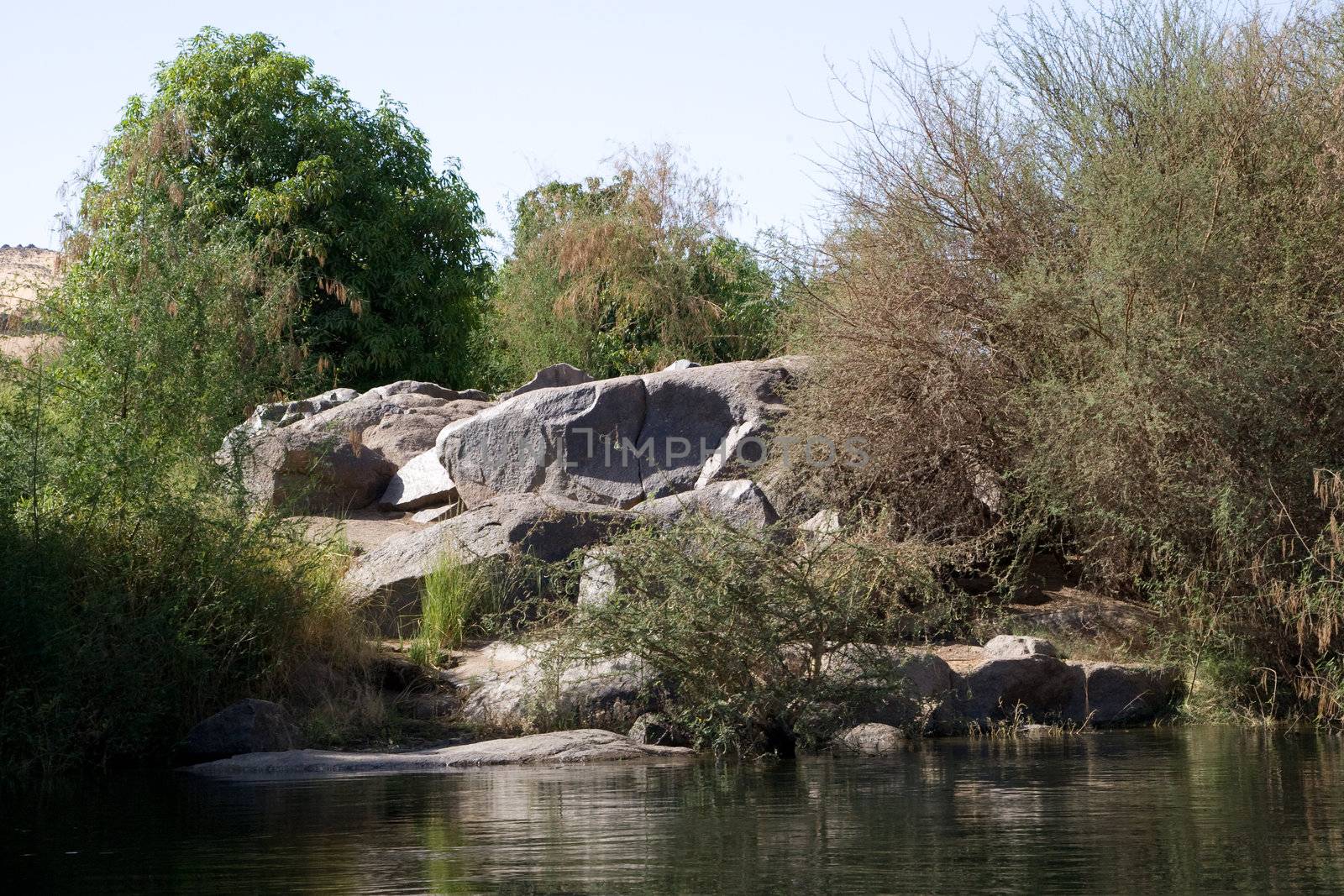 Nile River near Aswan, Egypt by MihaiDancaescu