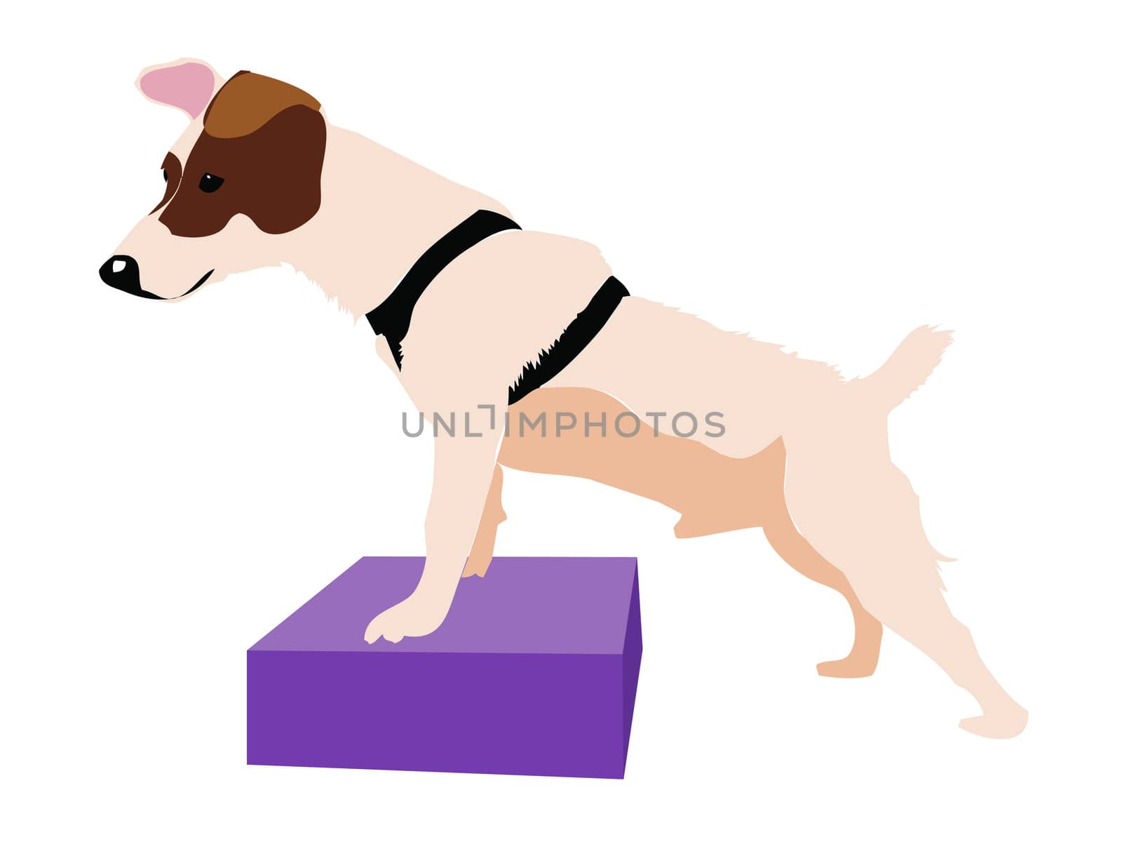 Illustration of a jack russell on the lookout