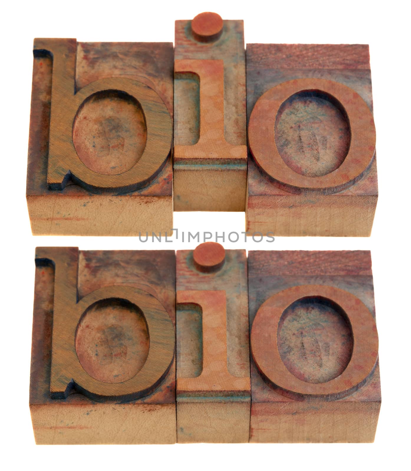 biography or biology concept, bio shortening word  in vintage wooden letterpress printing blocks isolated on white, two layouts