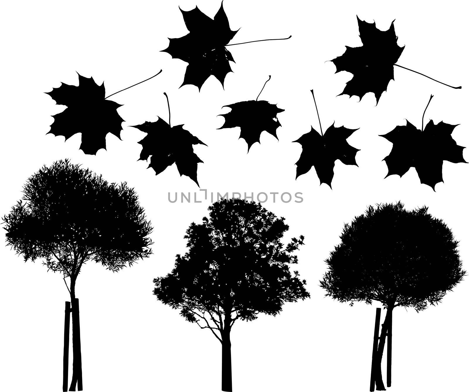 Tree and maple leaves silhouettes by ints