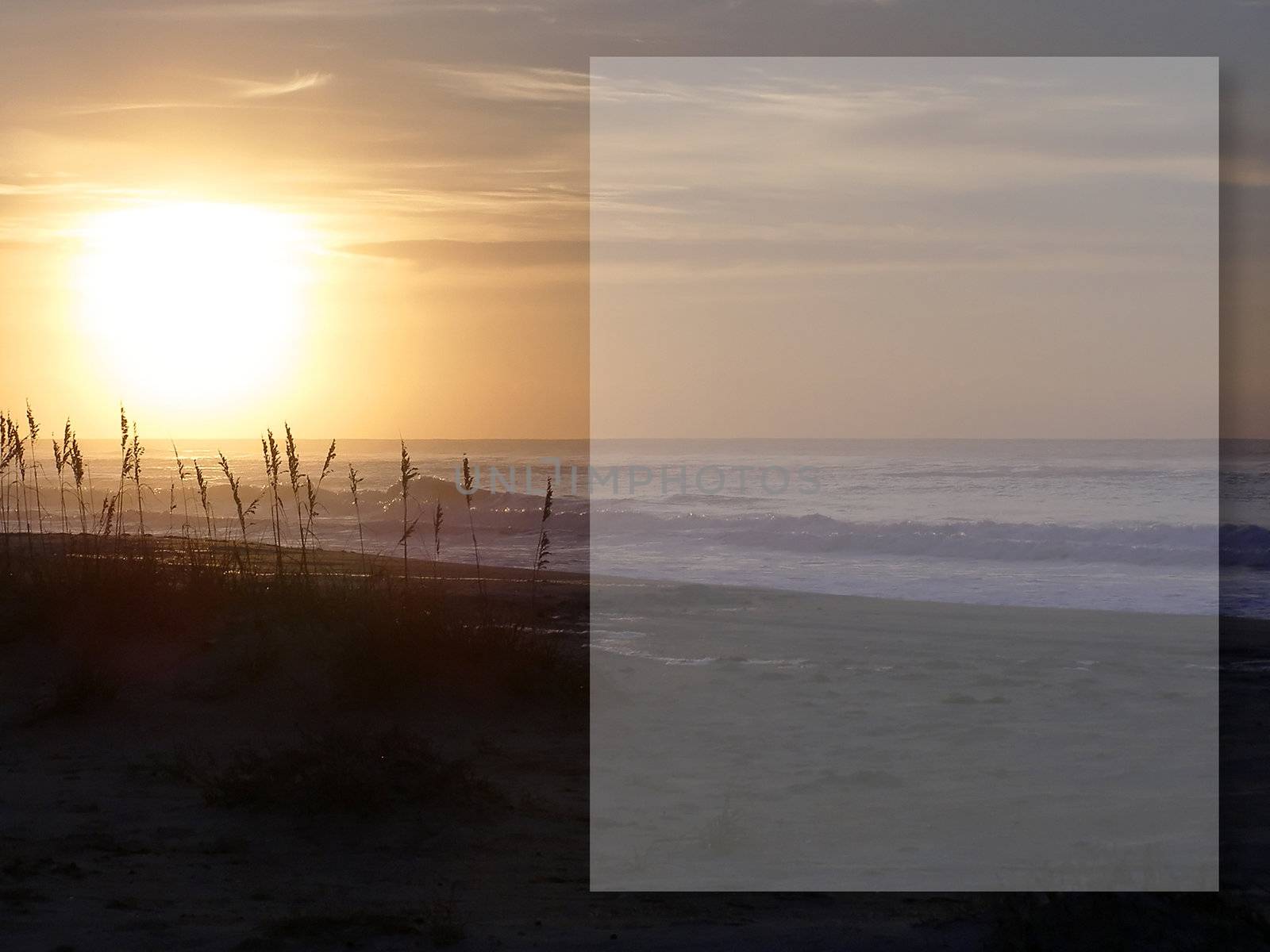 Sunrise on the beach with sea oats in silhouette and a text box