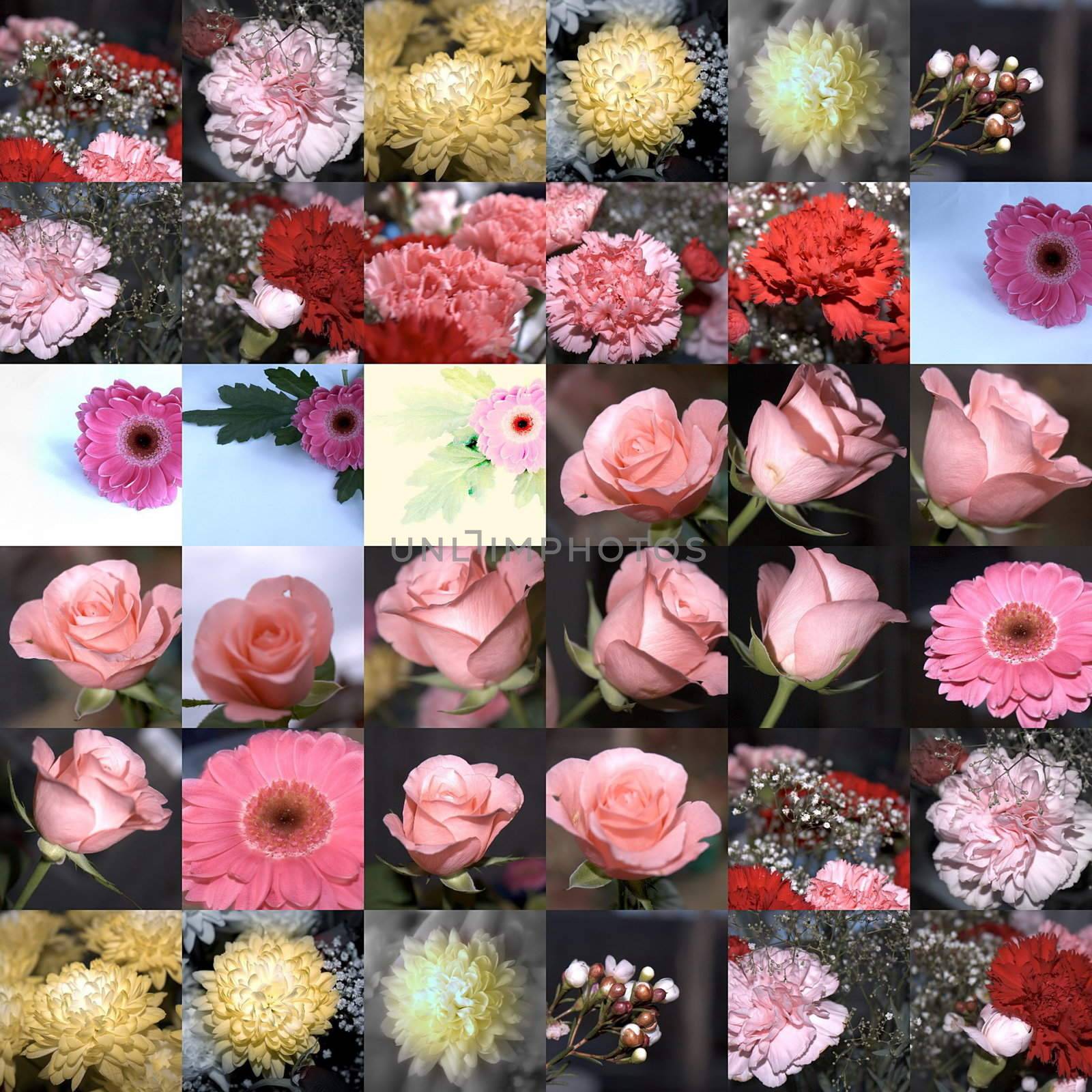 collage of flowers by leafy