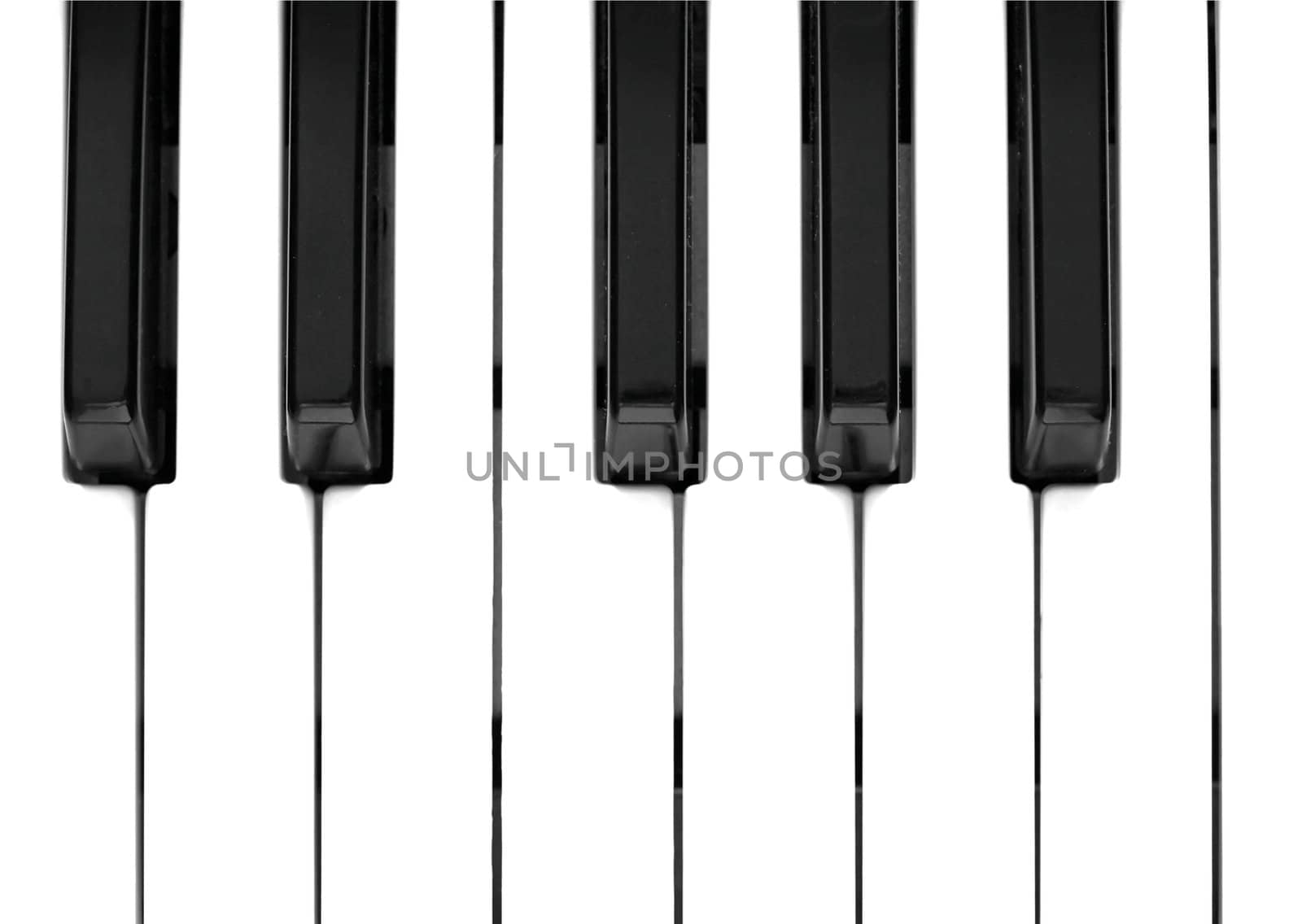 Black and white keys on music keyboard