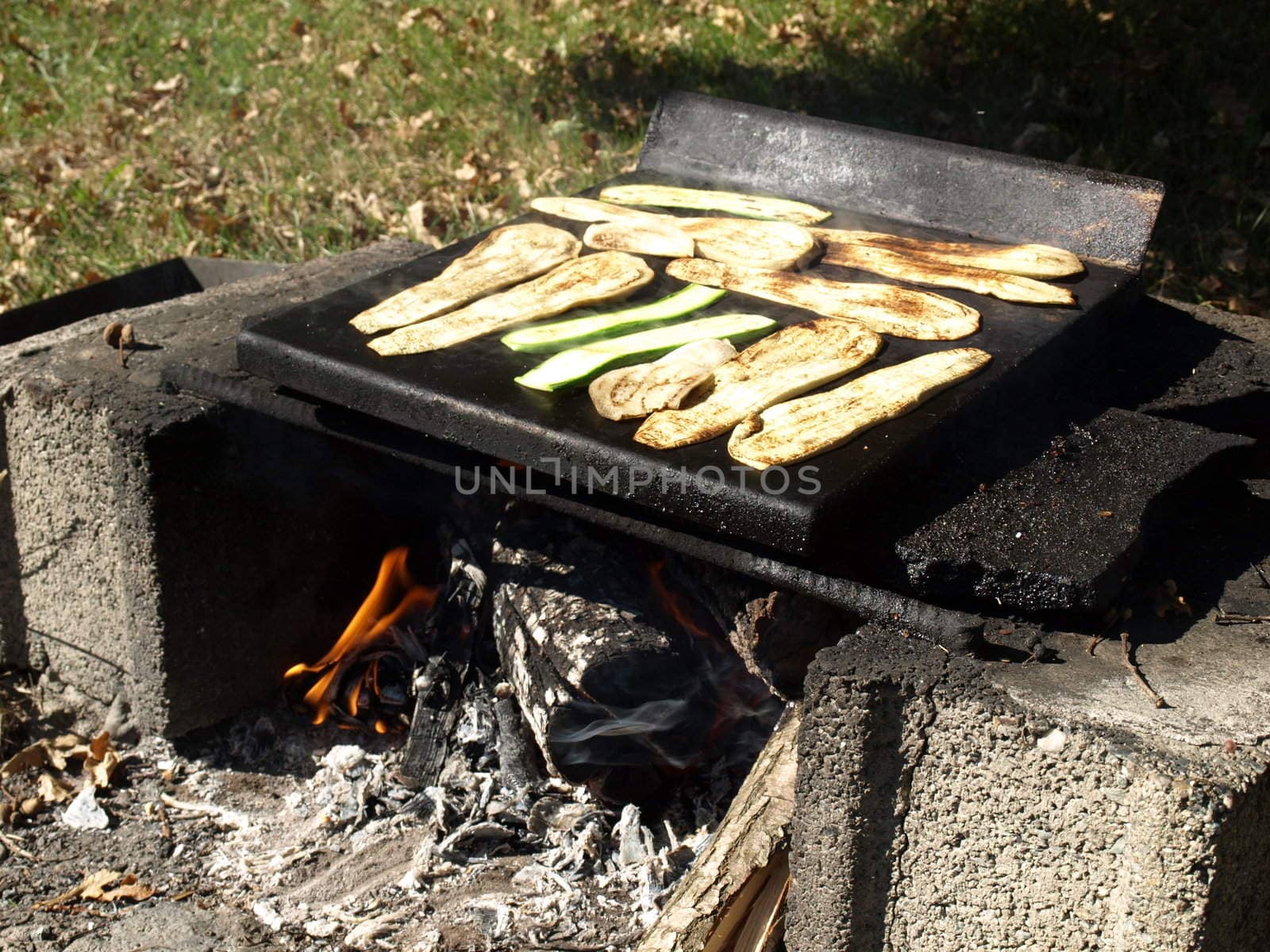 Barbecue by claudiodivizia