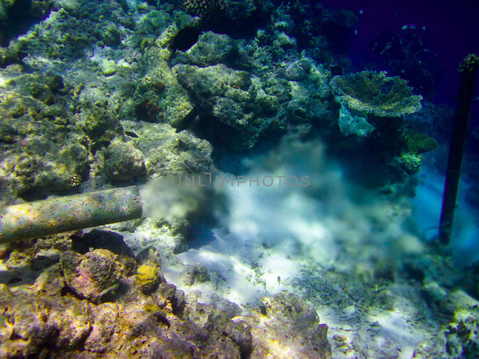 under water world at Maldives by anobis