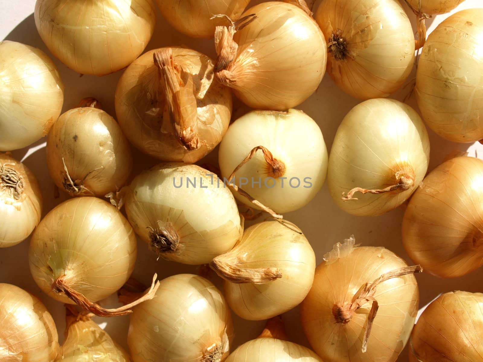 Onions by claudiodivizia