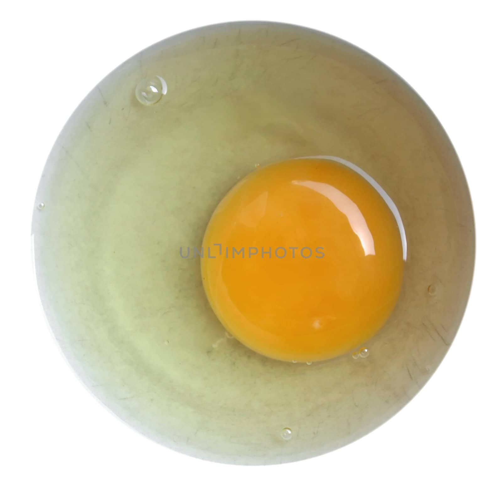 Egg