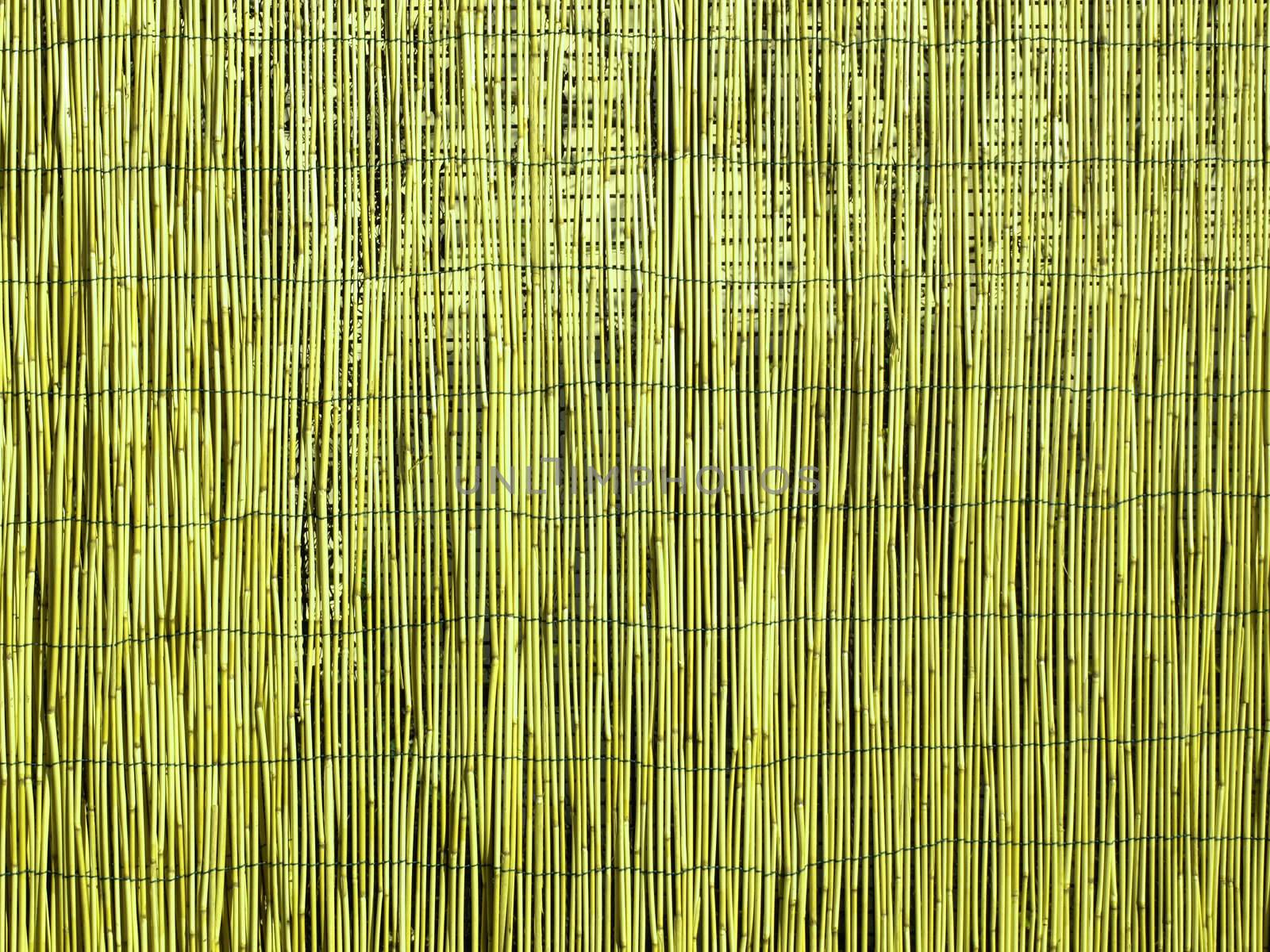 Bamboo fence or wall background