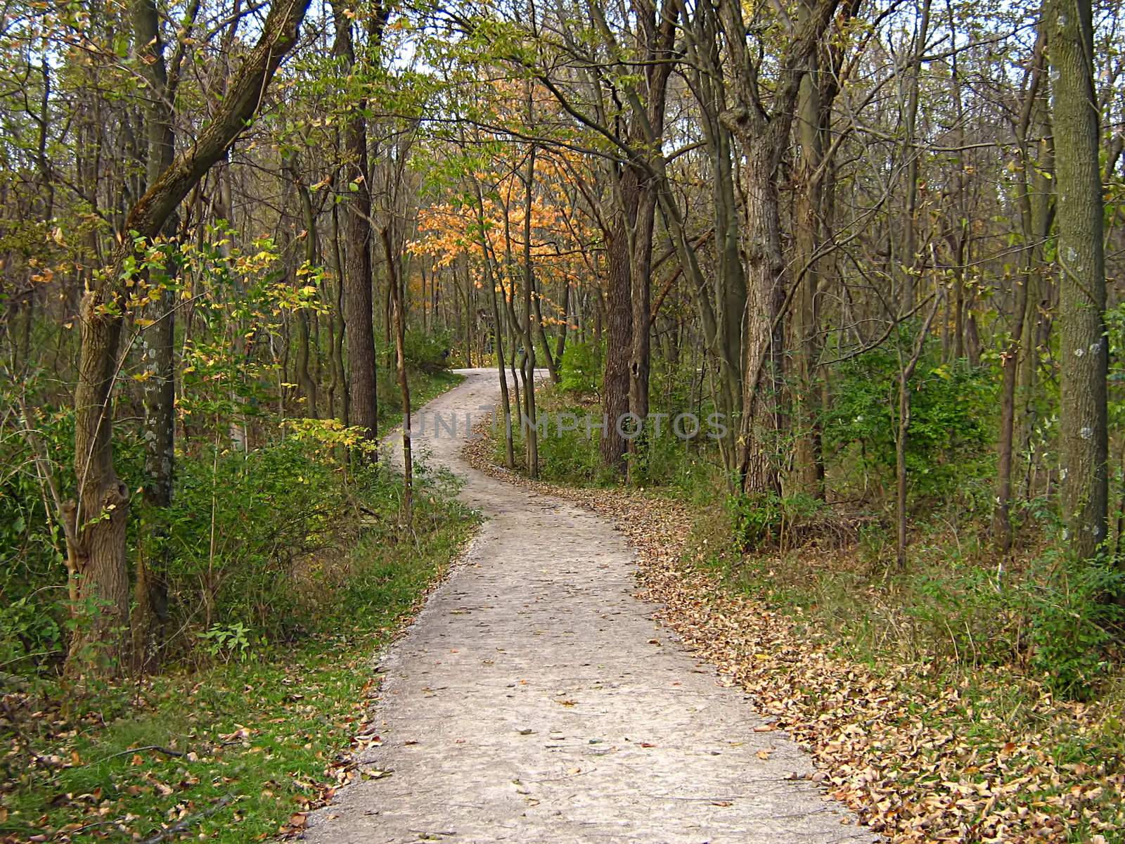 A photograph of a walking trail in autumn.