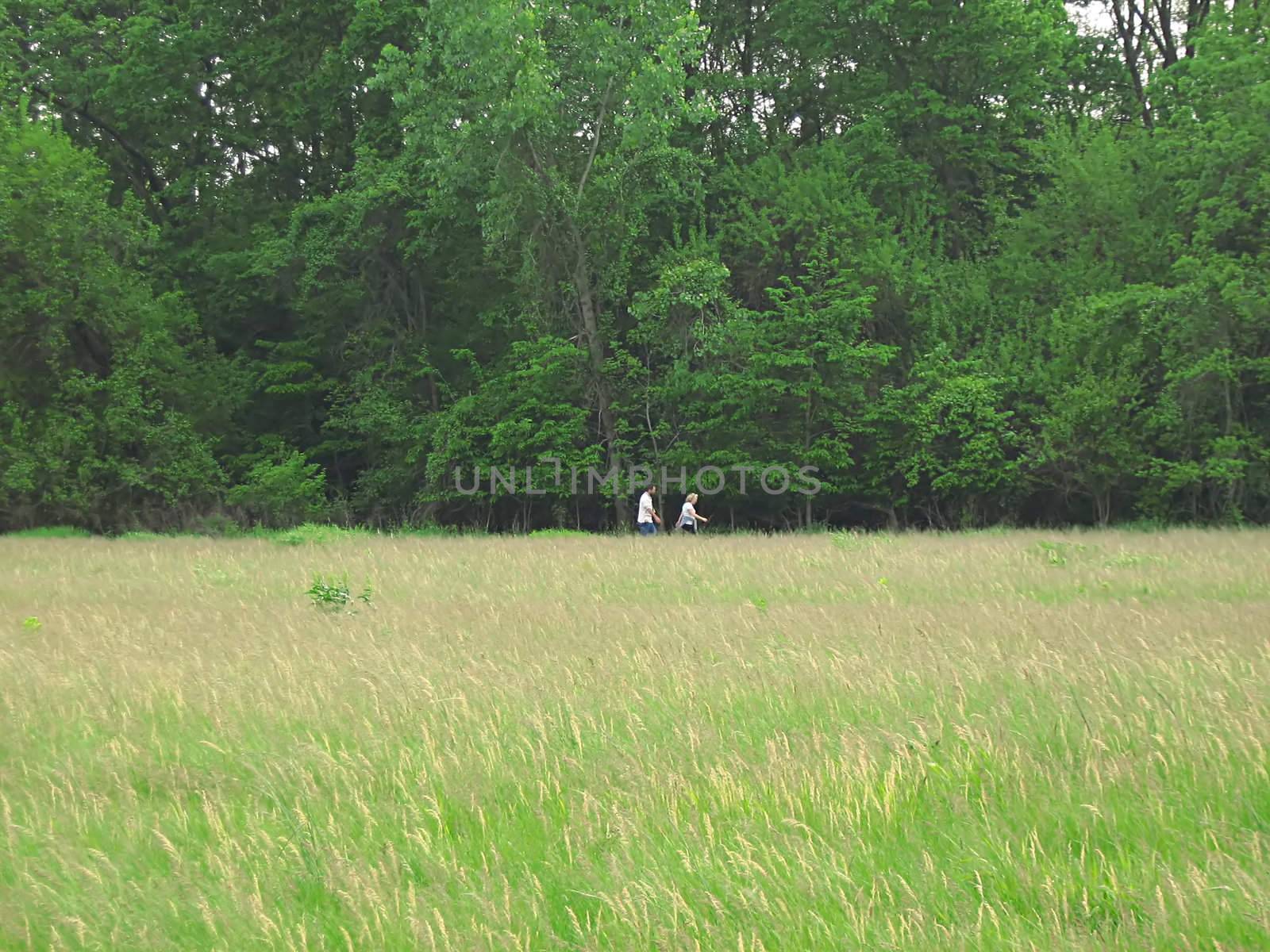 A photograph of people walking along a trail.