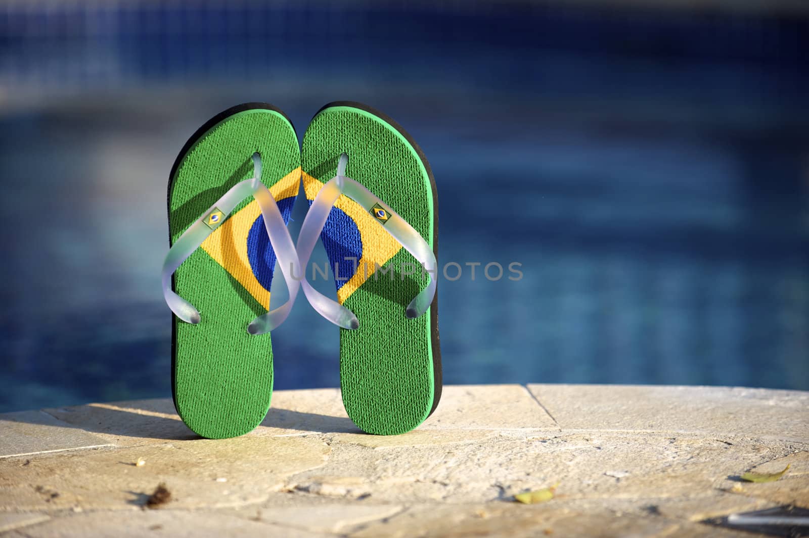 Brazilian flipflop in a swimming pool in Ilhabela, Sao Paulo, Brazil