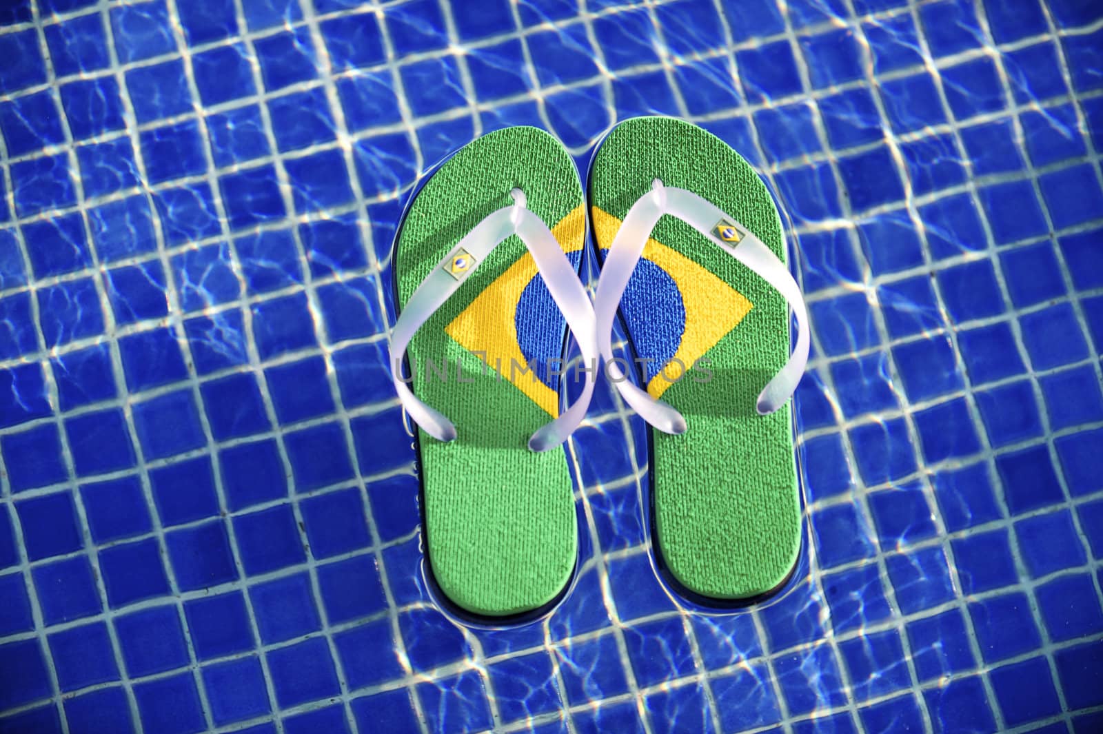 Brazilian flipflop in a swimming pool in Ilhabela, Sao Paulo, Brazil