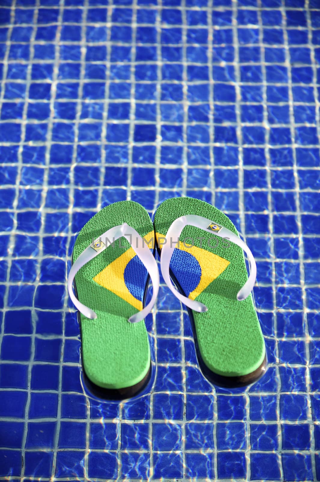 Brazilian flipflop in a swimming pool in Ilhabela, Sao Paulo, Brazil