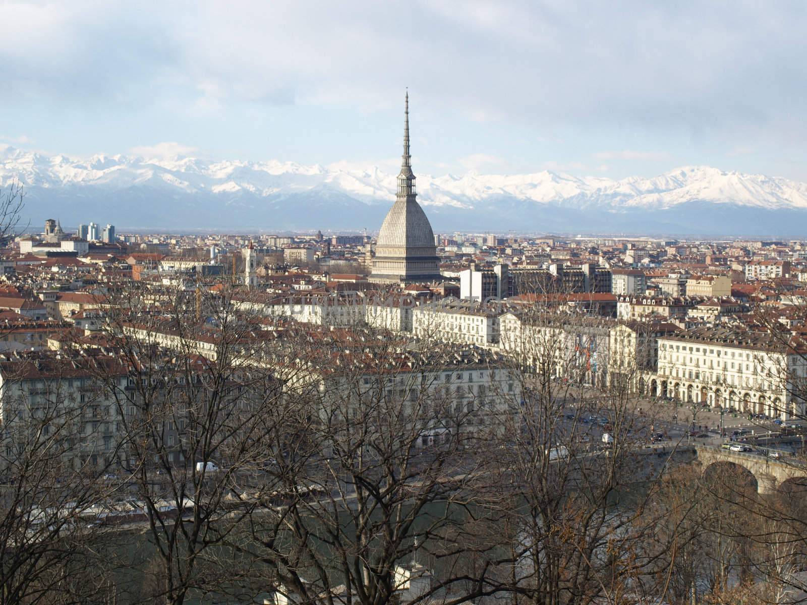 Turin panorama seen from the hill, with Mole Antonelliana (famous ugly wedding cake architecture)