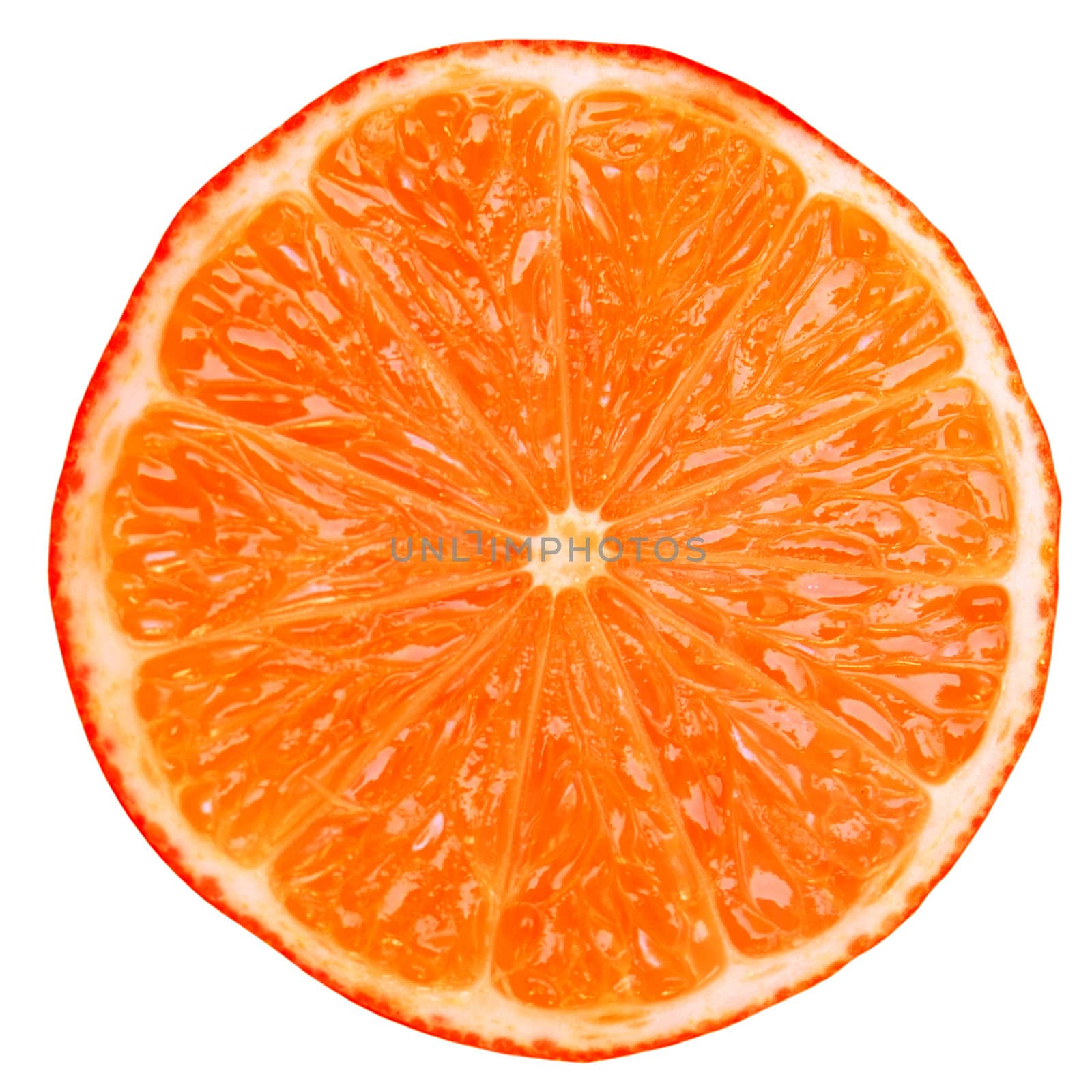 Red orange citrus slice