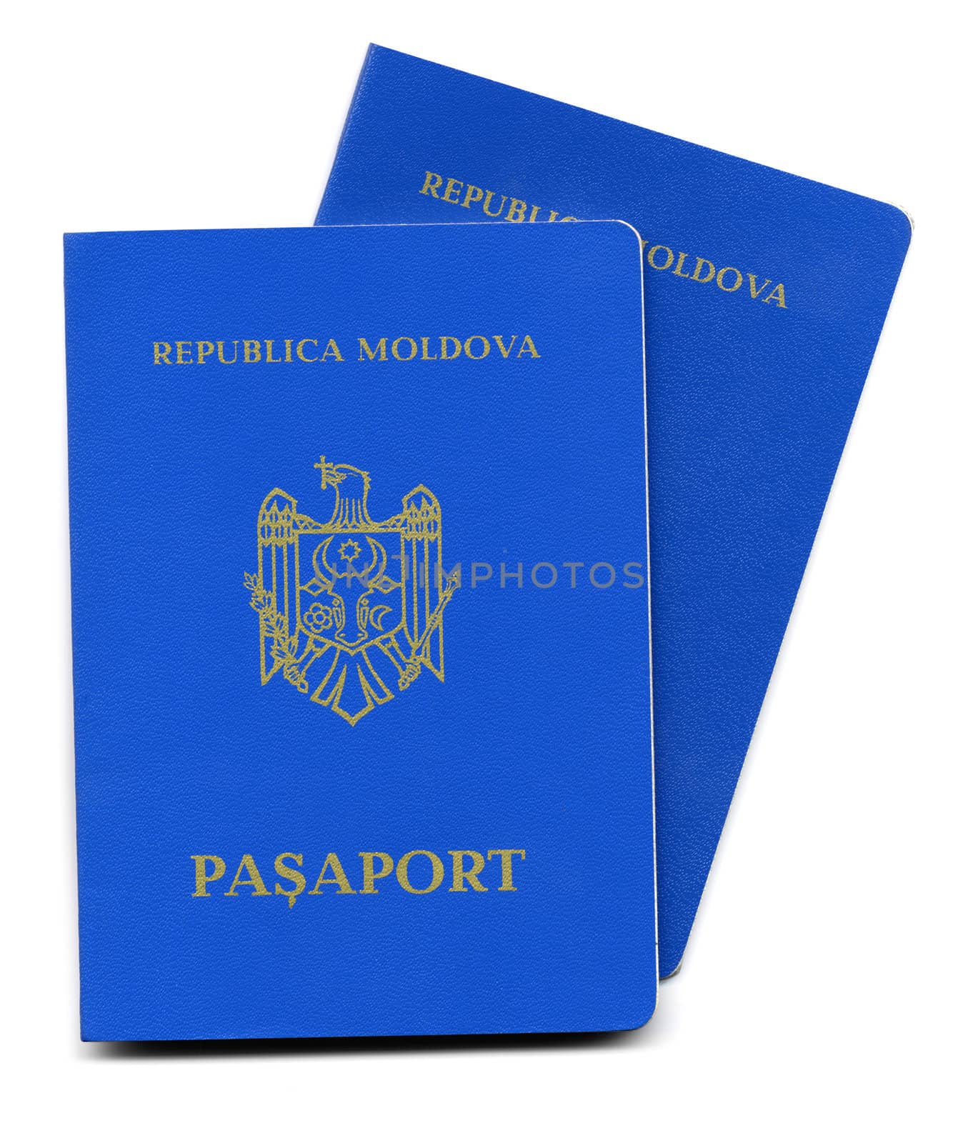 Passport document id