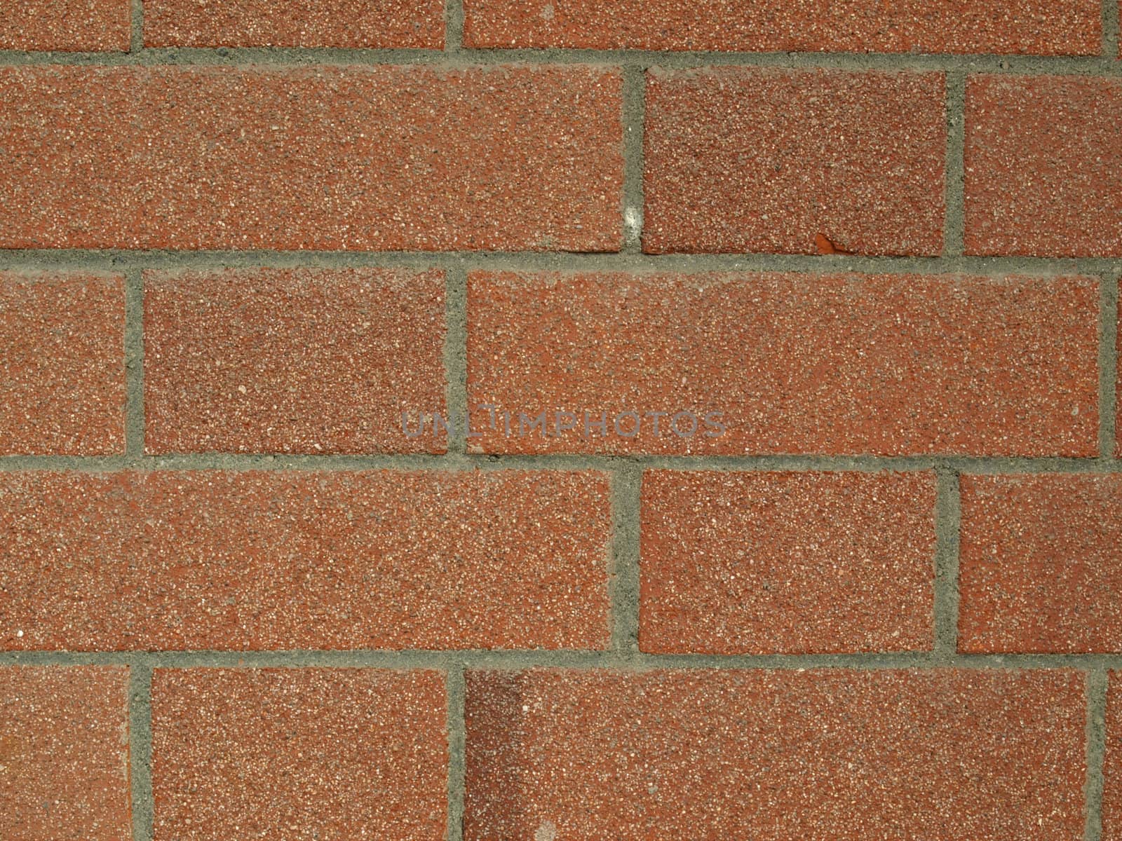 Brick wall background with English bond