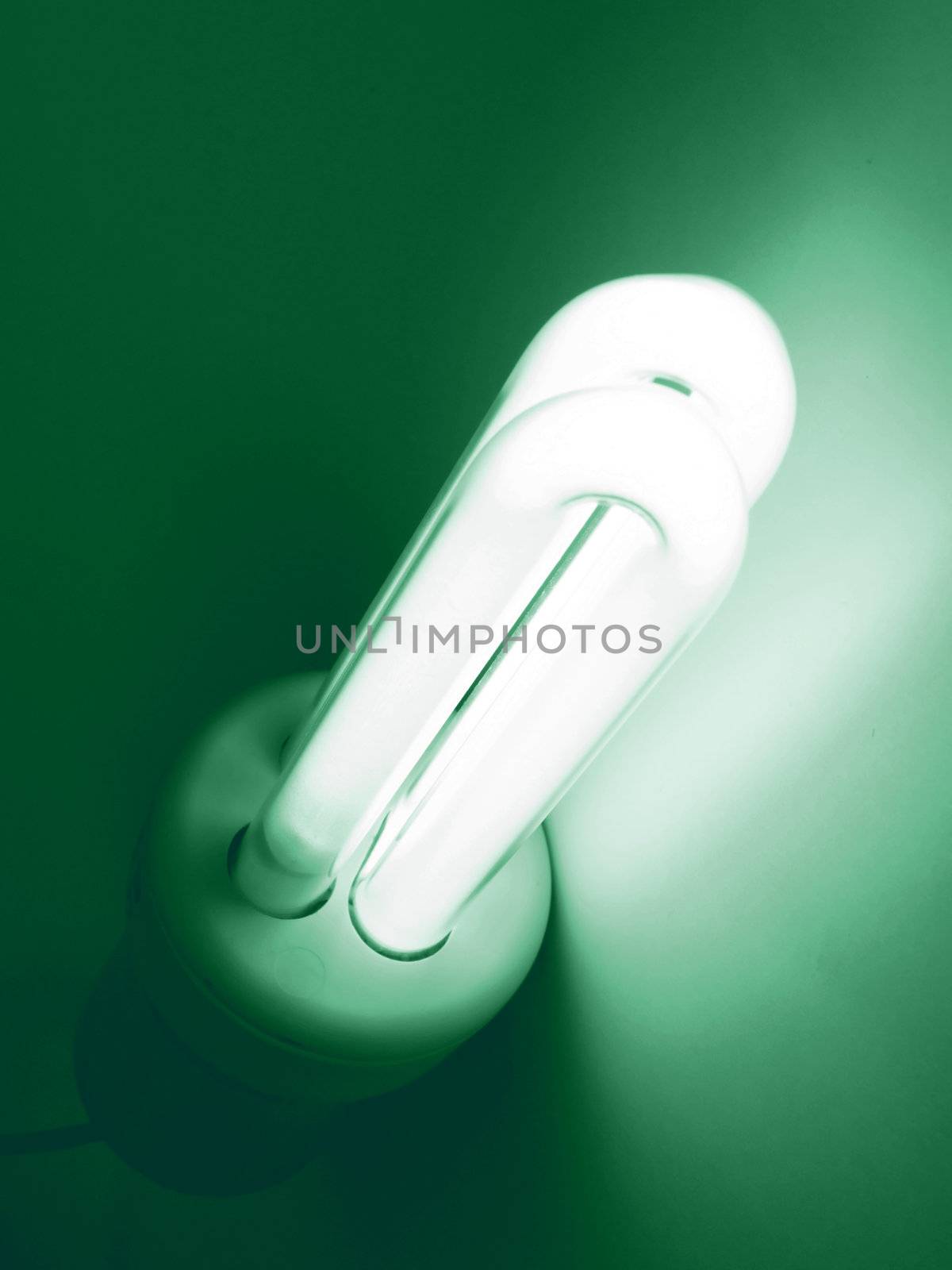 Compact fluorescent light bulb ecological low carbon