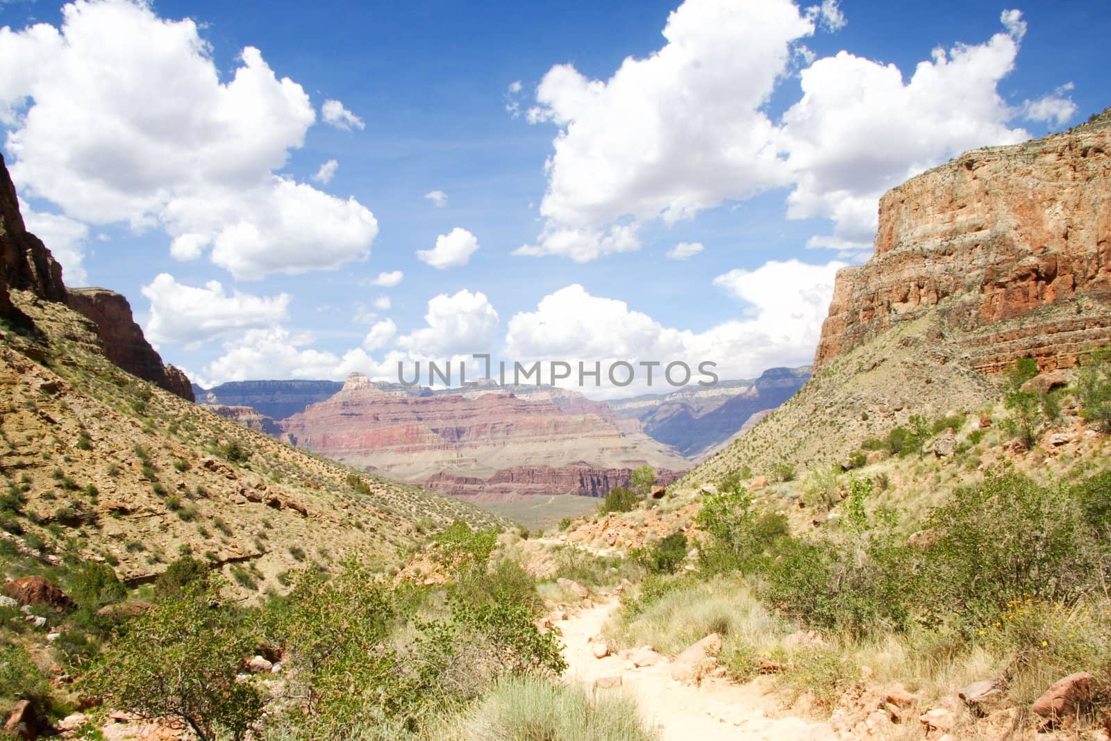 Grand Canyon trail by Maridav