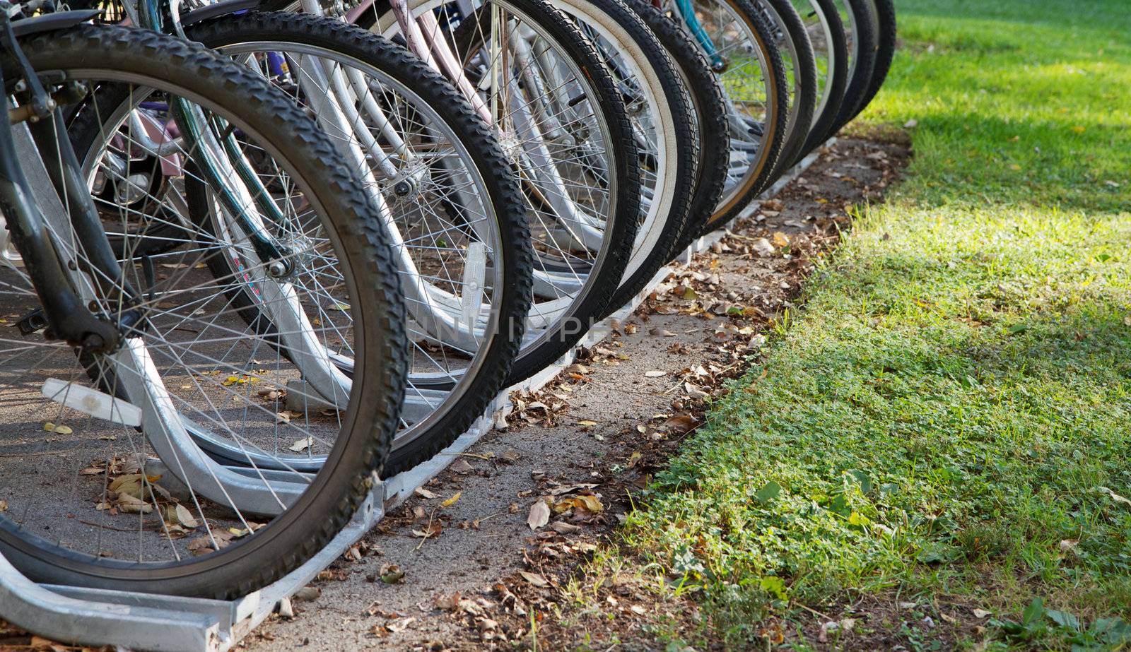Row of bicycle tires in a raco with green grass