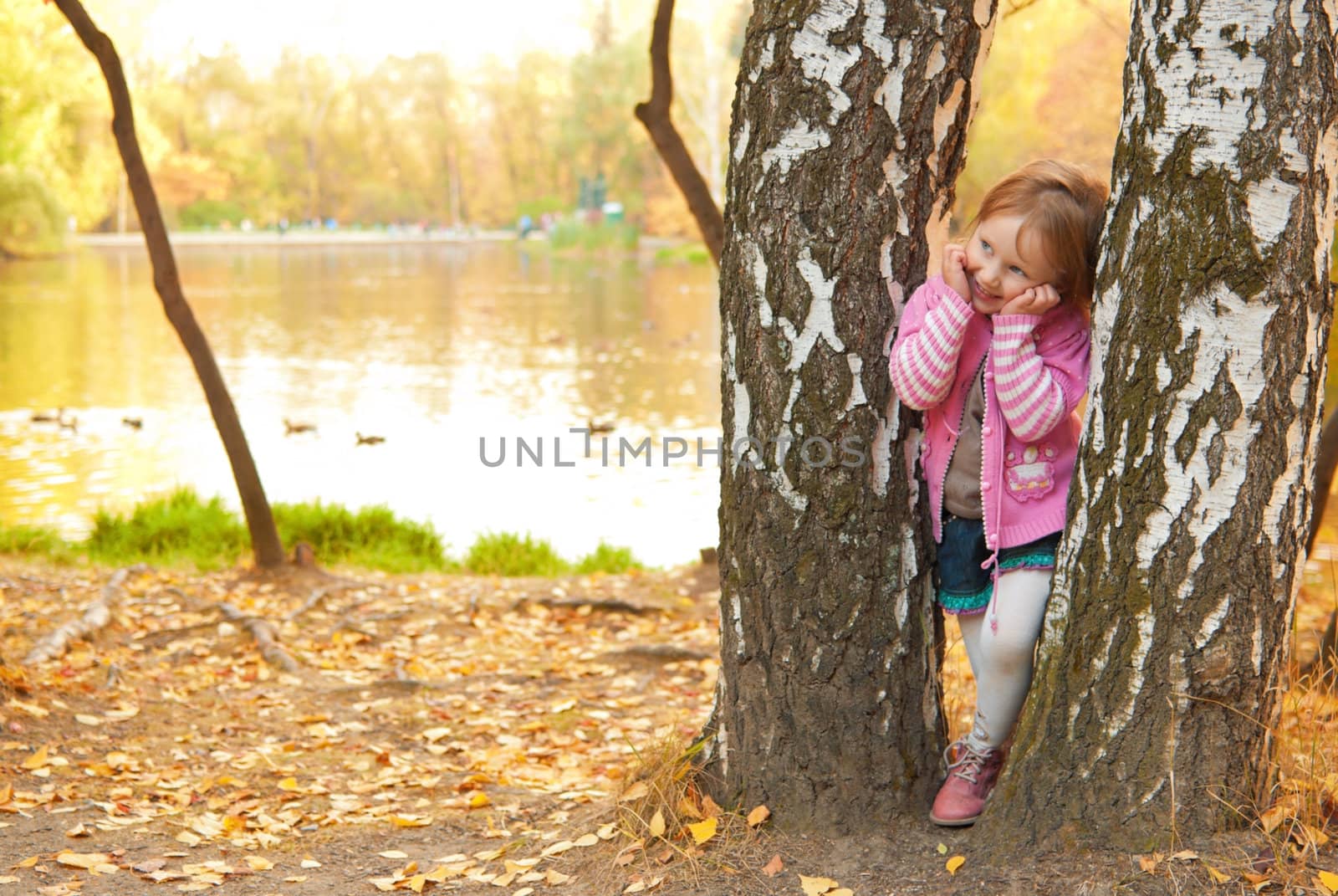 Little (3 years old) girl is playing hide&seek between trees near the pond. Yellow autumn leaves cover ground all around.