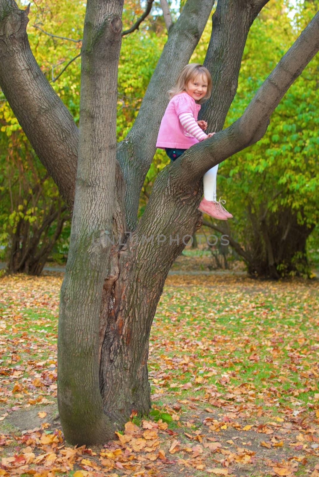 Little girl (3 years old) is  smiling and stitting on a tree branch. She is looking at the camera