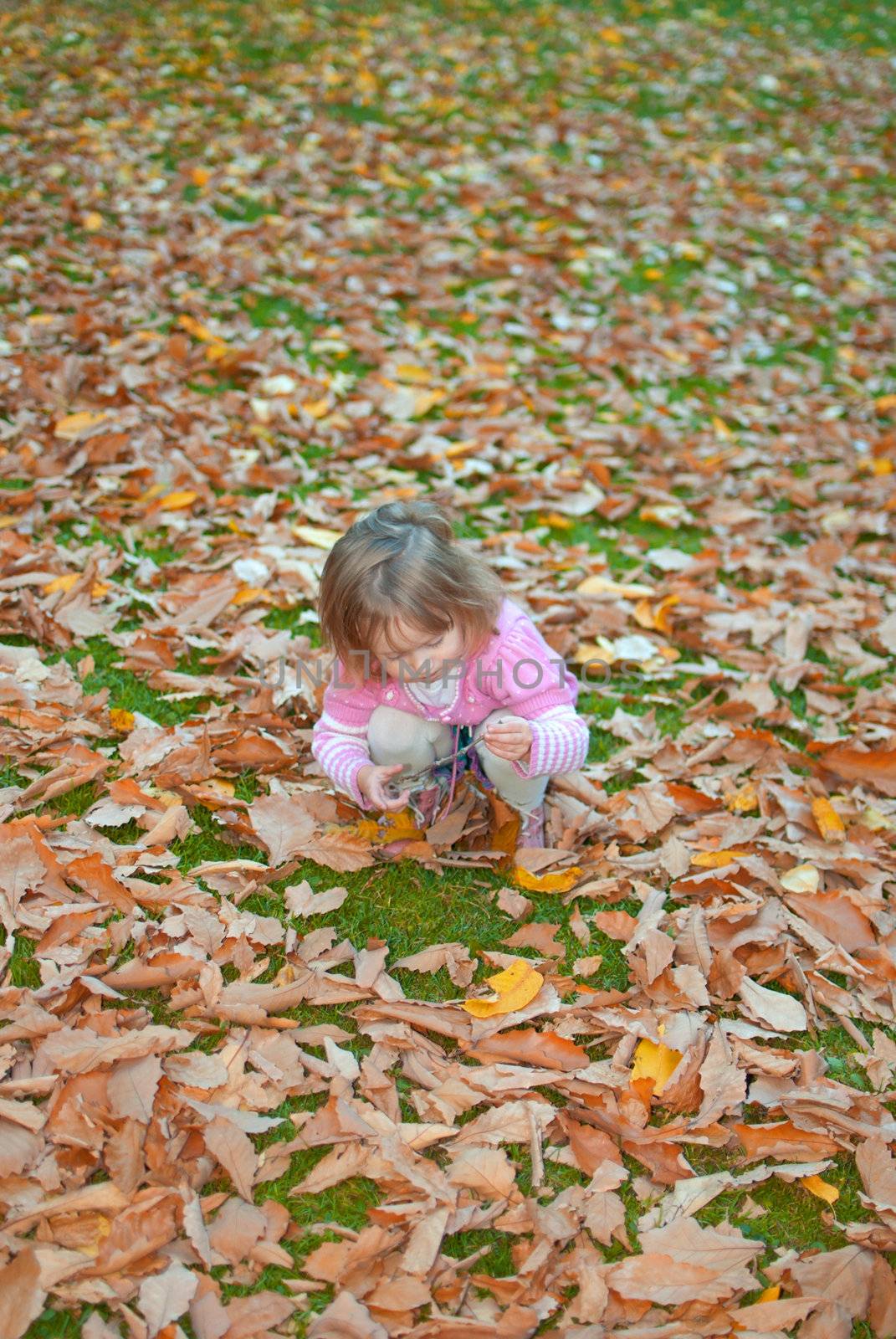 Girl (3 years old) is playing with yellow leaves on the ground. Vertical version