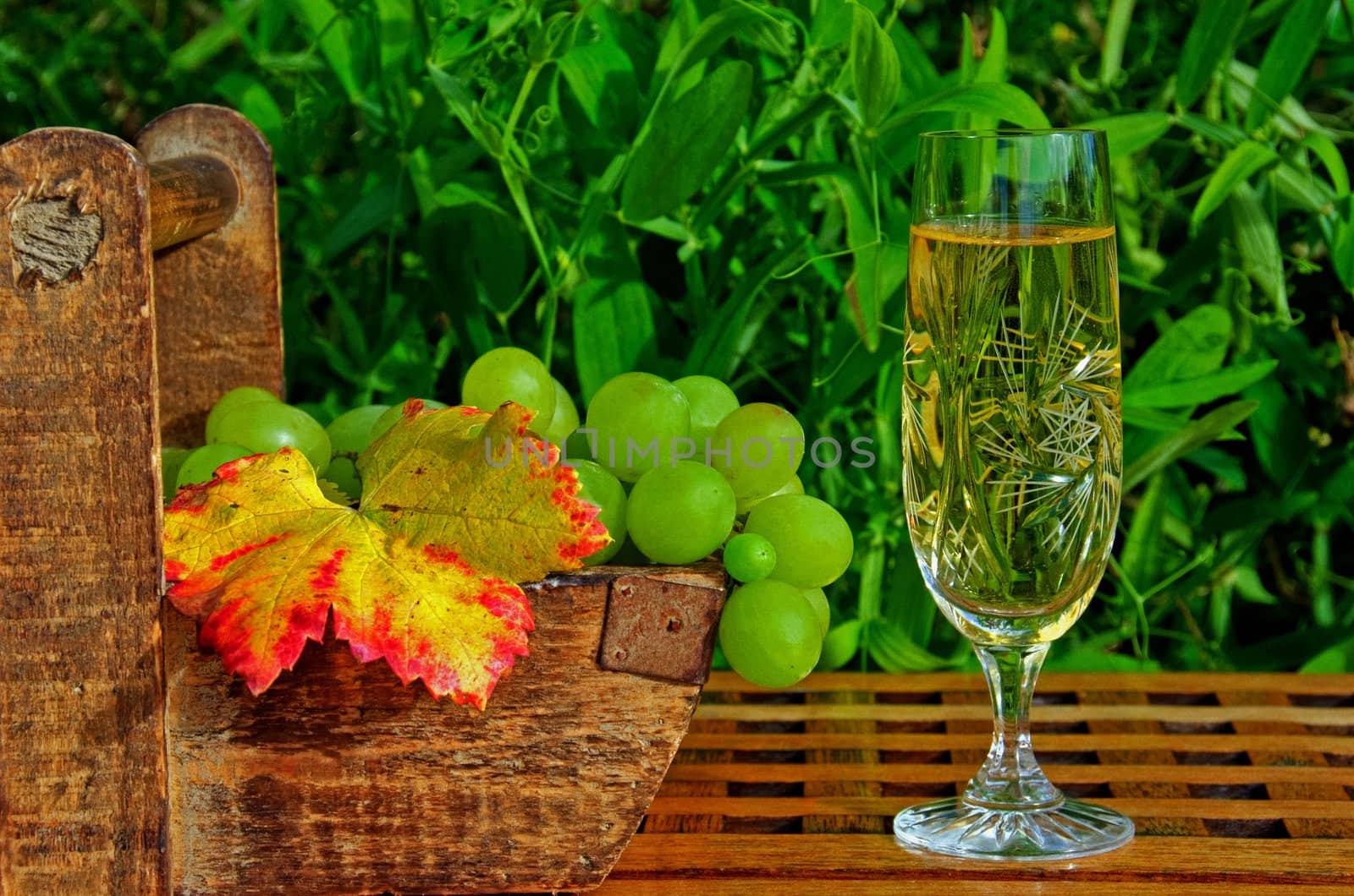 A tray with grapes and a glass of white wine in the garden