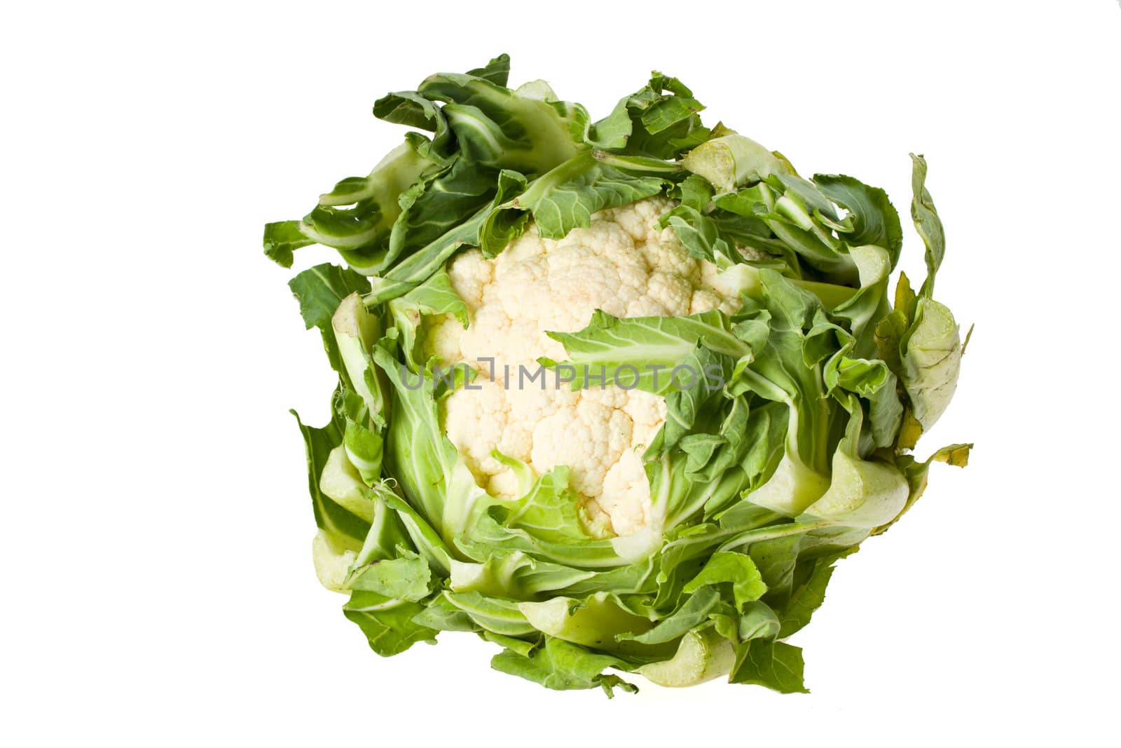 single cauliflower vegetable isolated on white