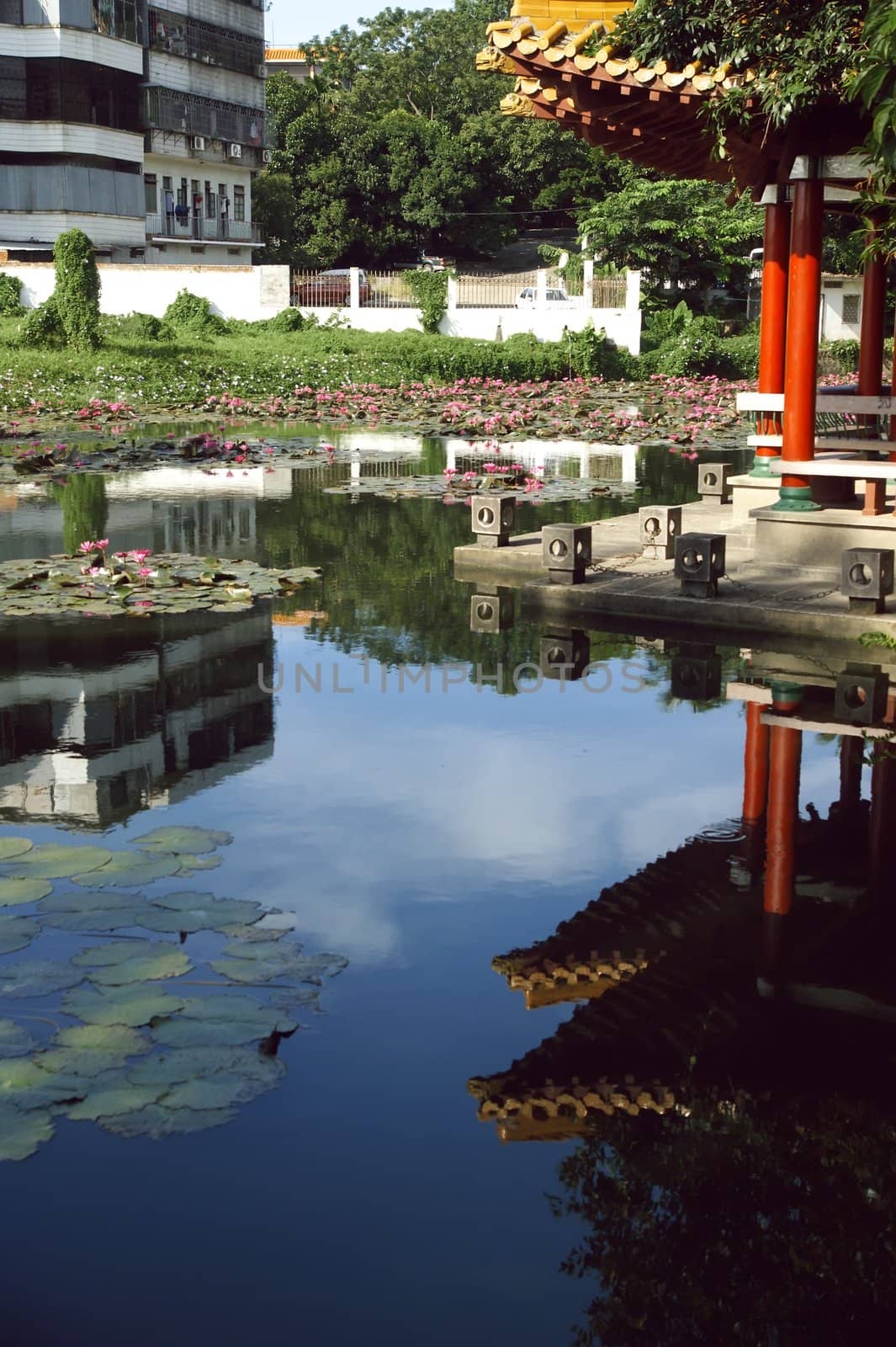 Chinese temples which usually have a pond, planted with water lilies in the pond