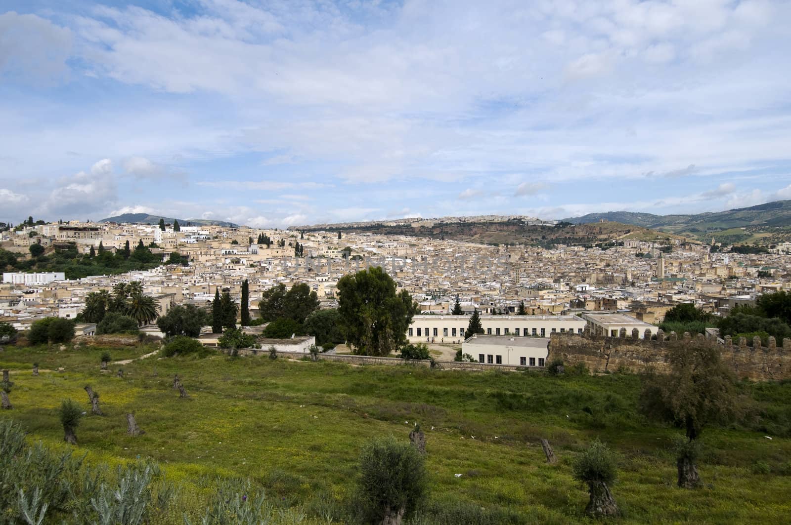 Panoramic view of the imperial city Fez - best of Morocco