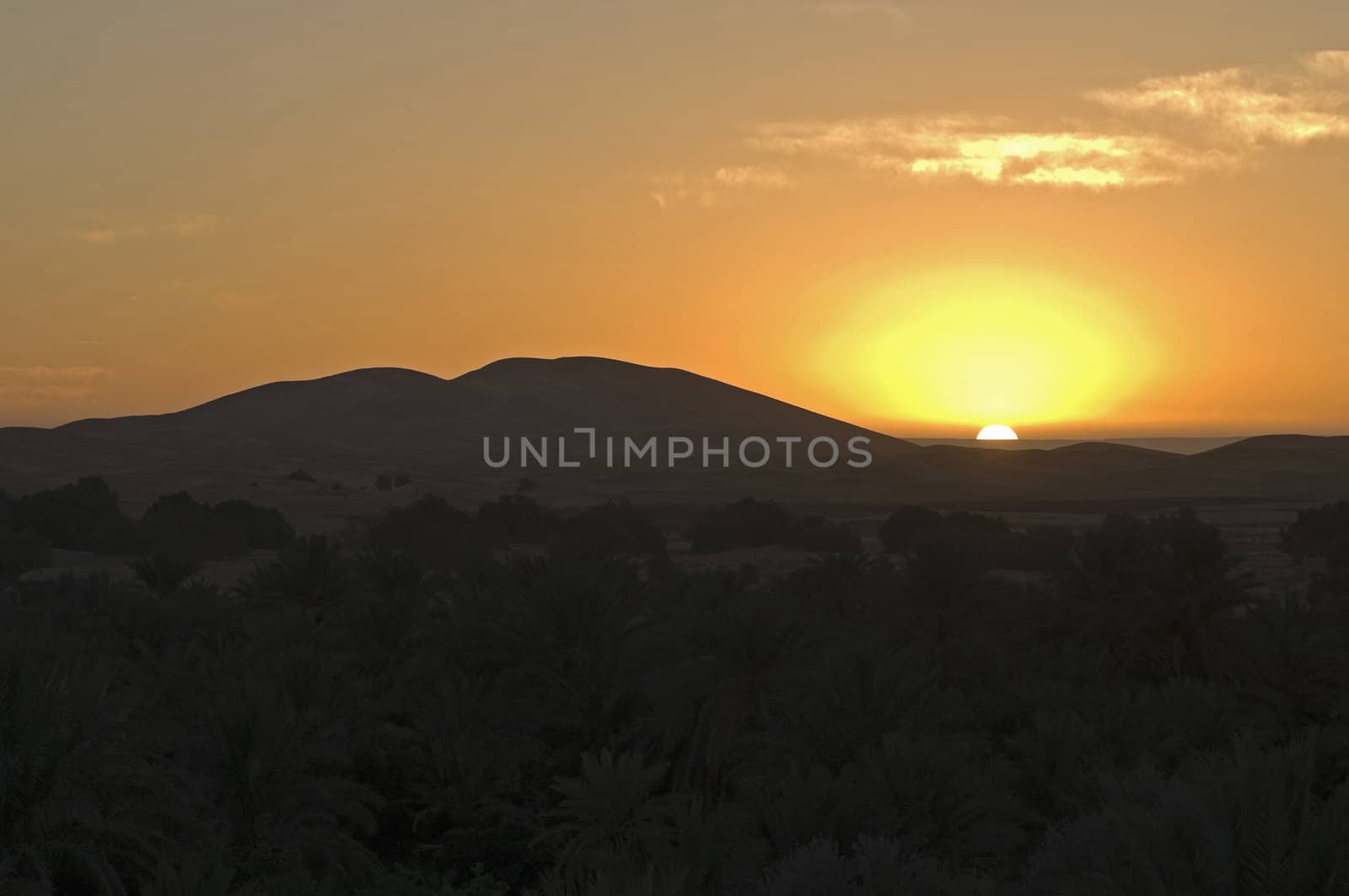 Sunset in the desert - Big sand dunes near Merzouga - Best of Morocco 