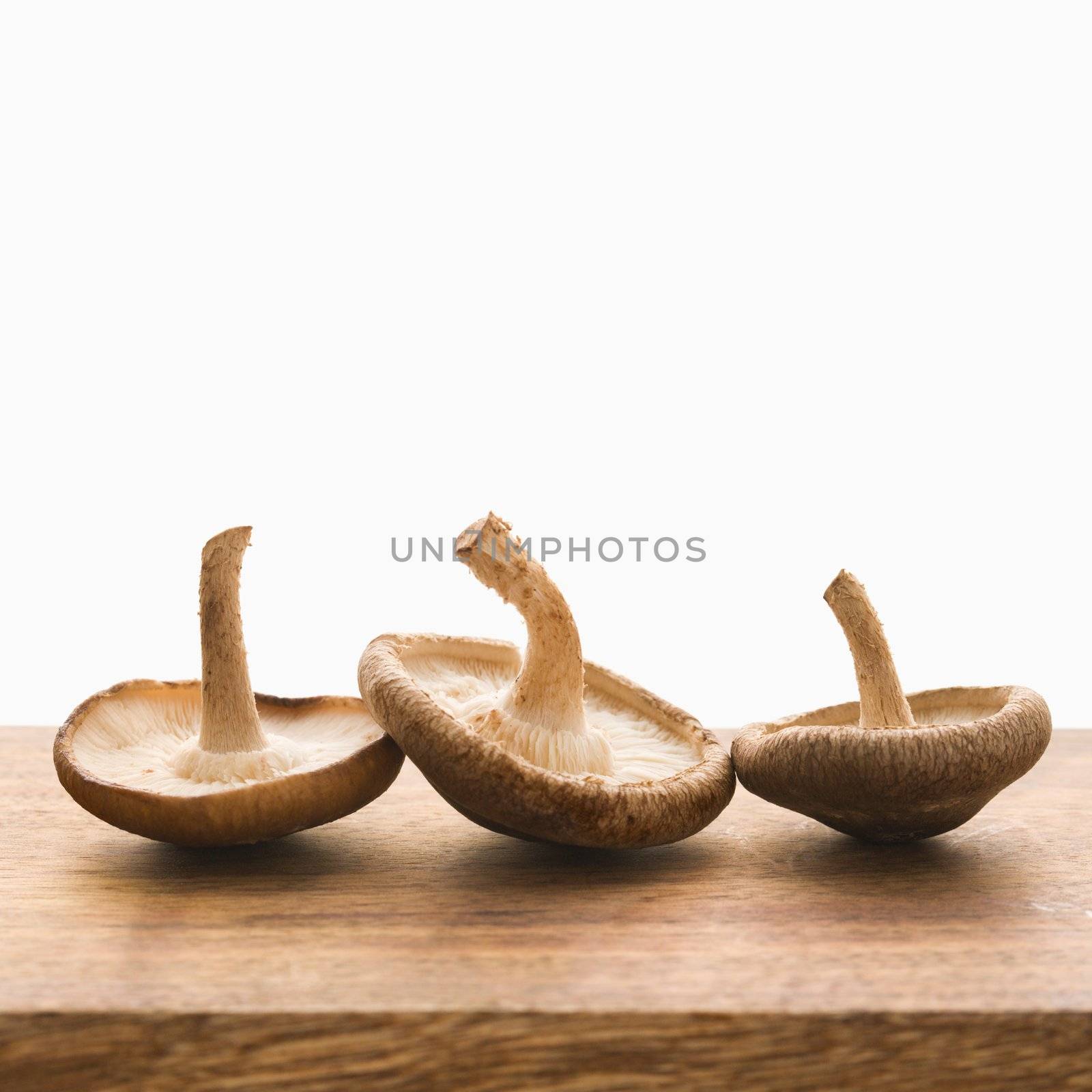 Three brown mushrooms upside down.