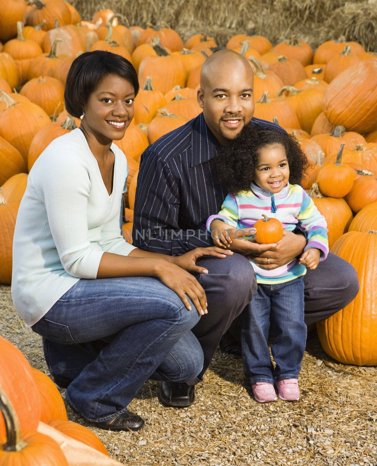 Family picking pumpkin. by iofoto