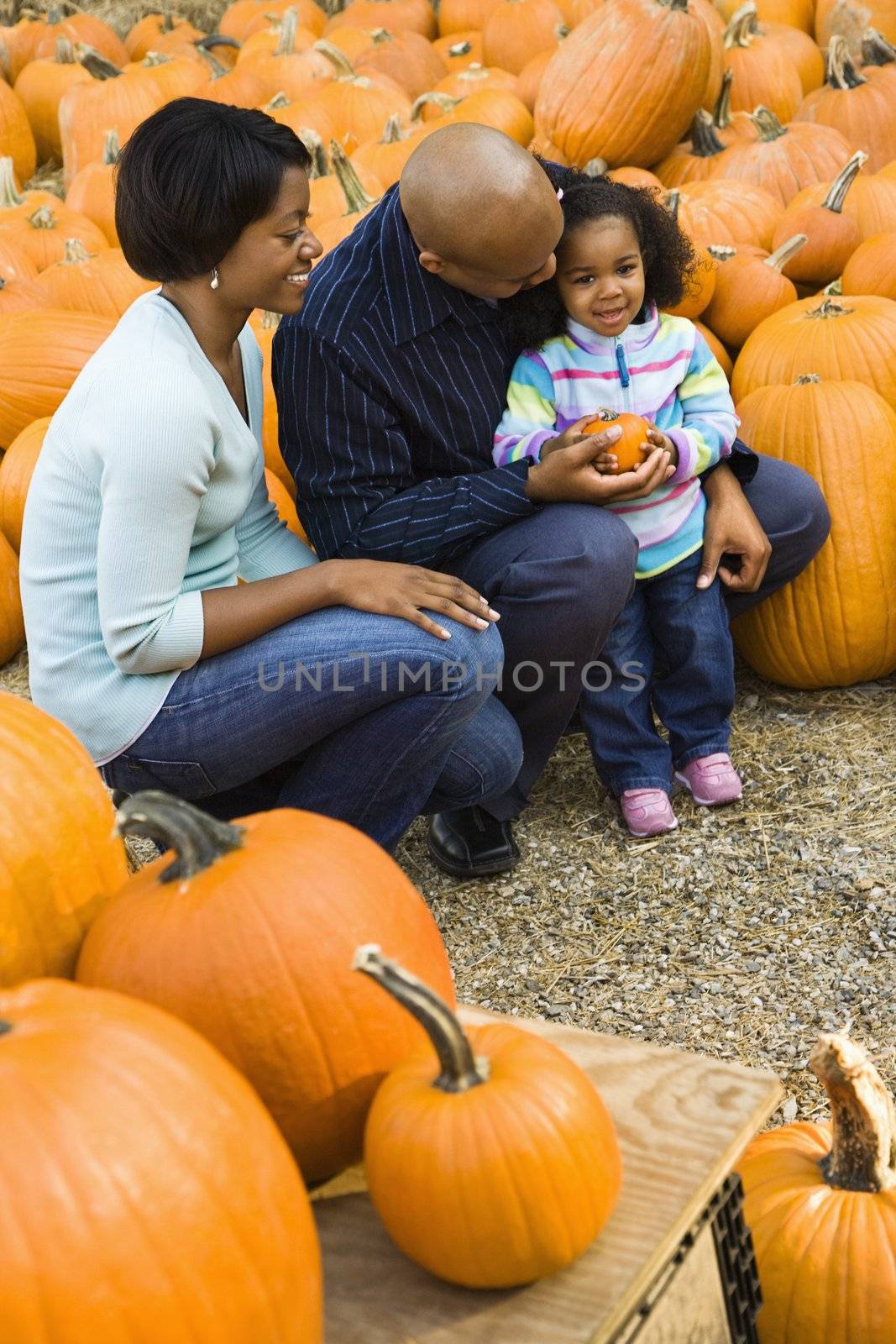 Parents and daughter picking out pumpkin and smiling at outdoor market.