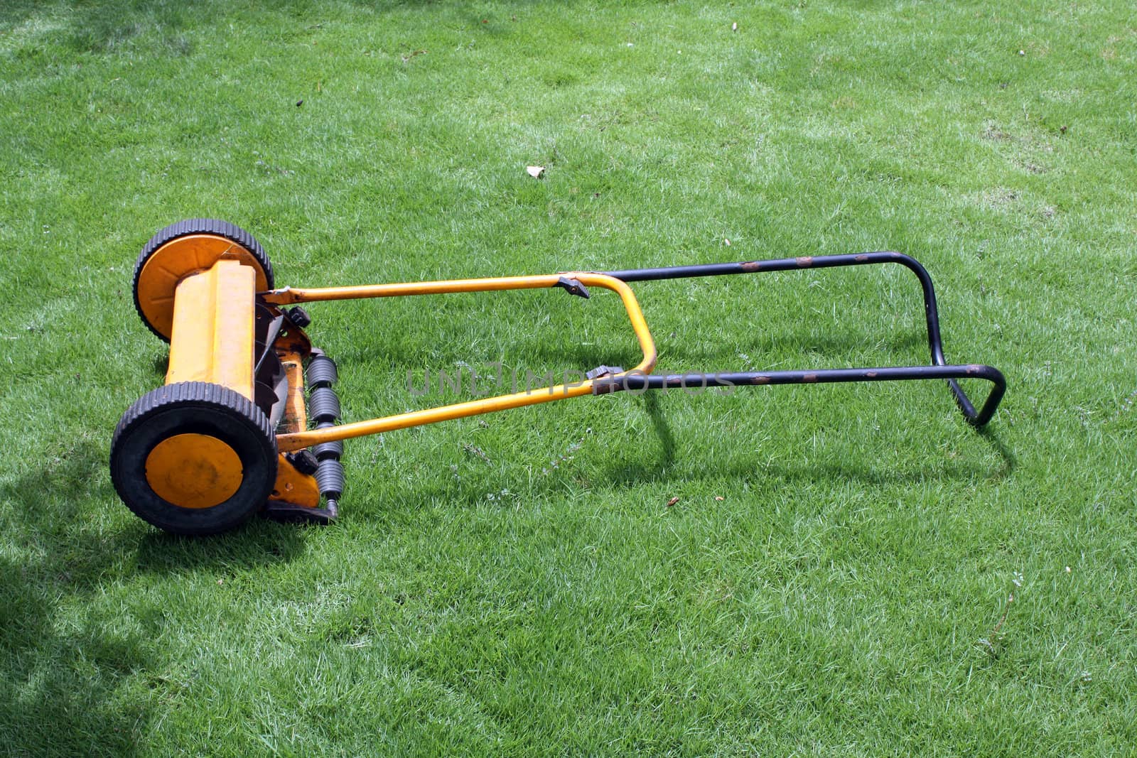 A yellow lawn mower on a lush green lawn.