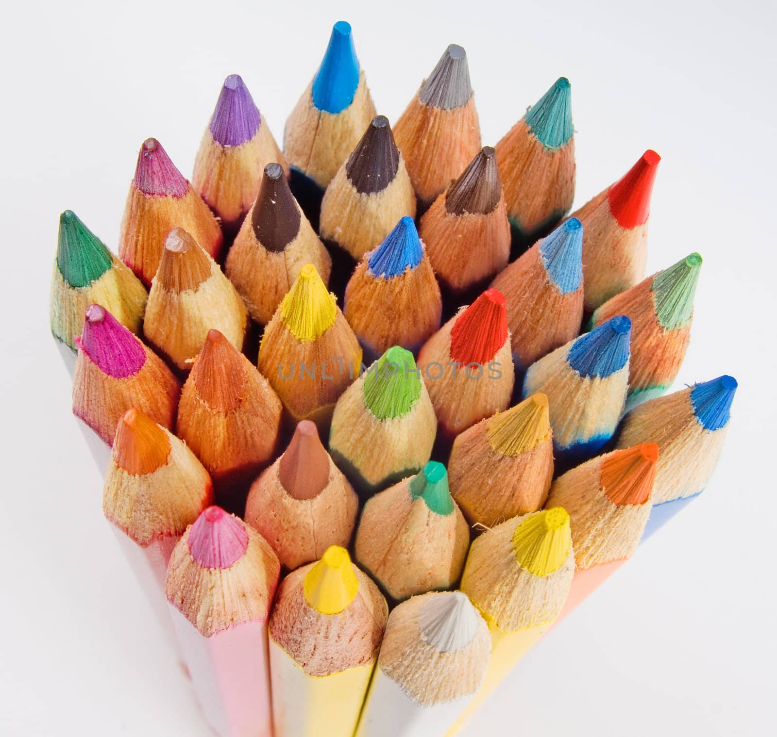 Group of colored pencils on the white background