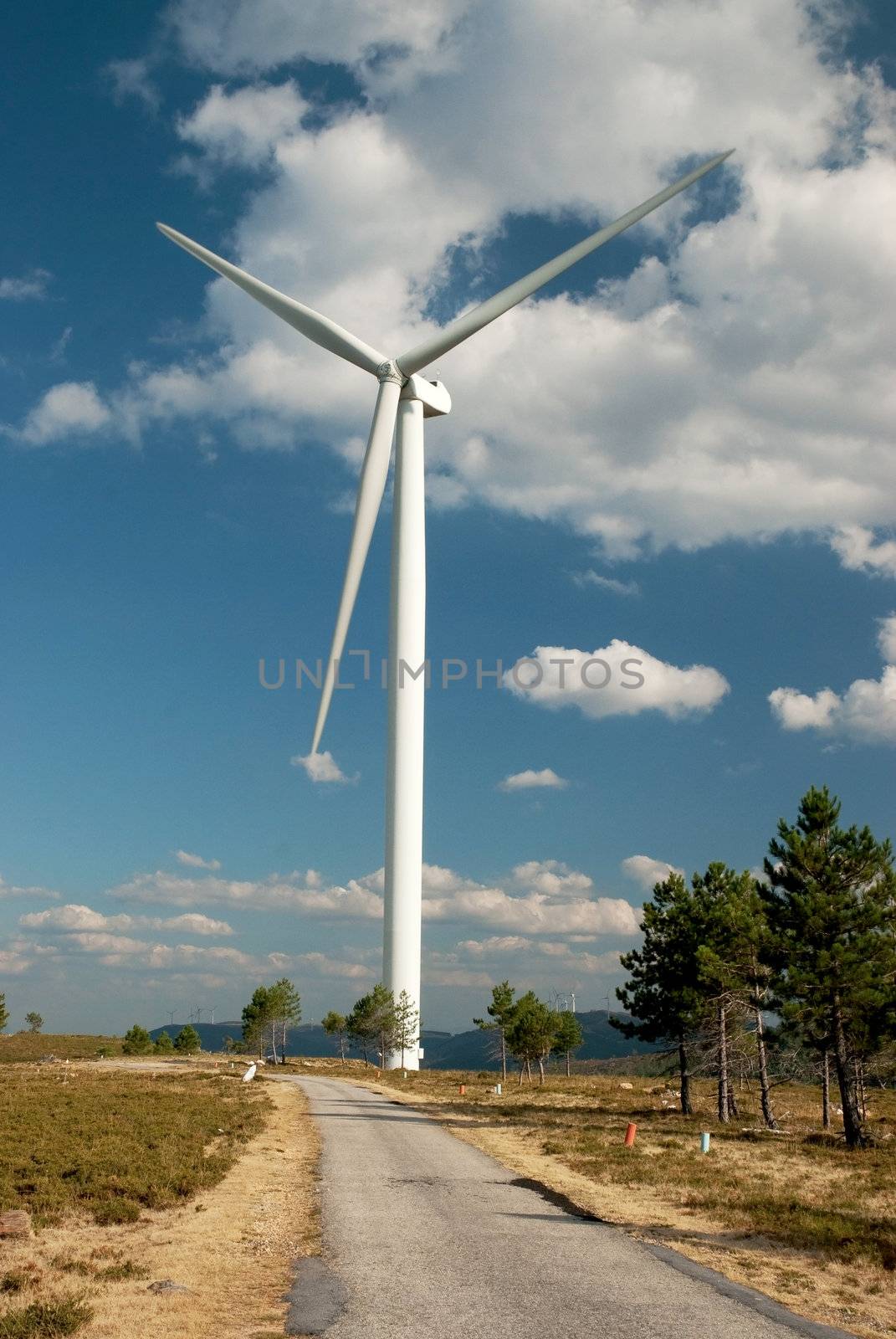 Wind turbine, renewable energy source.