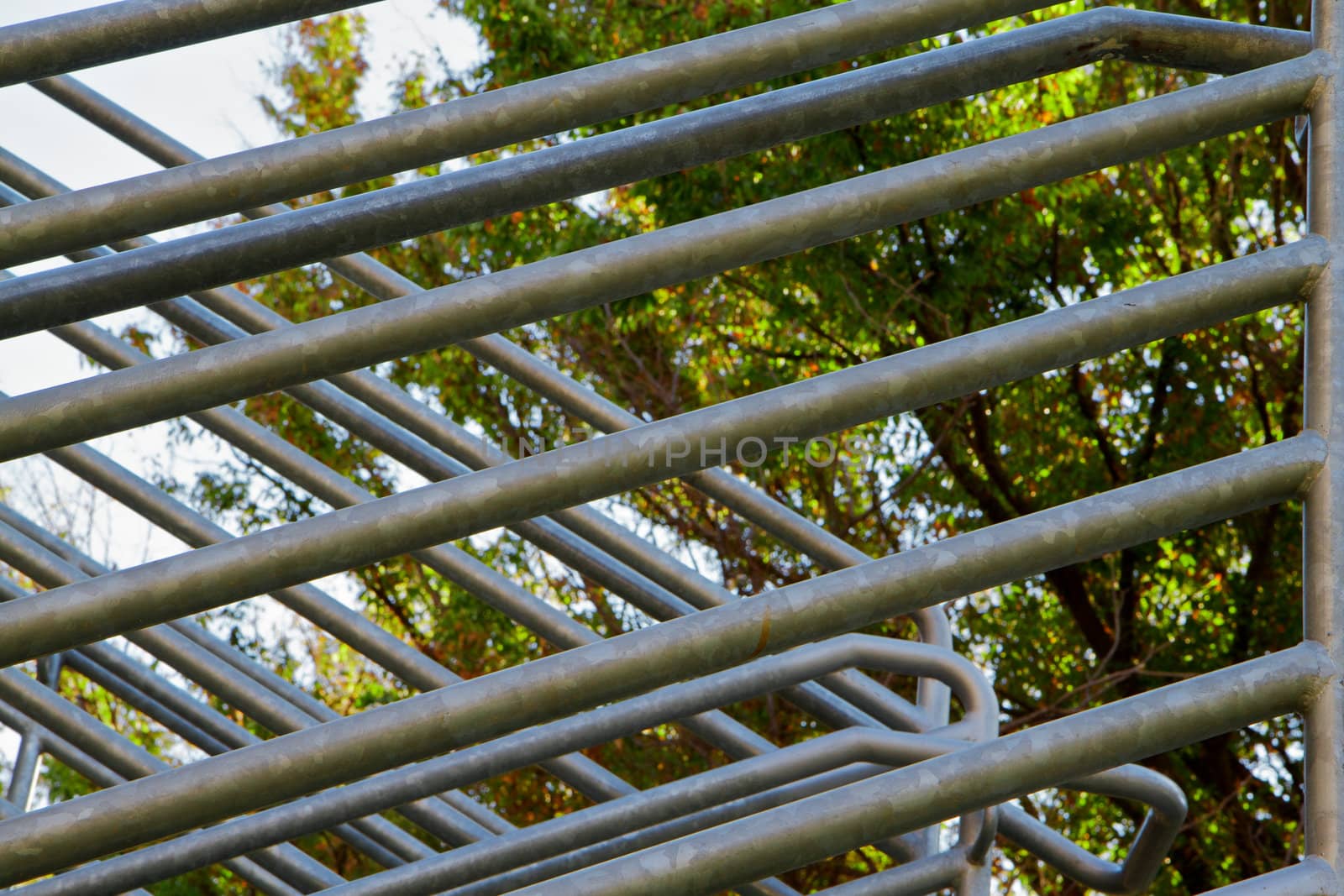 Intersections of steel railing on stairwell with green trees in background