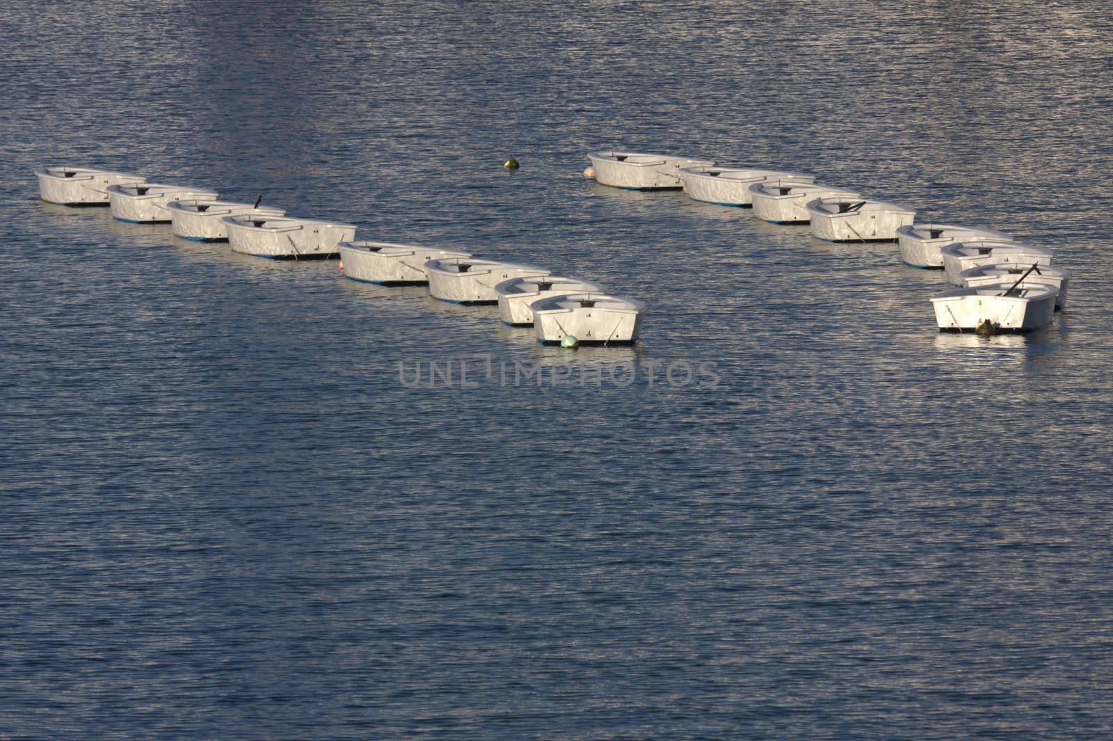 two columns of white boats, moored in the port of Socoa near St Jean De Luz