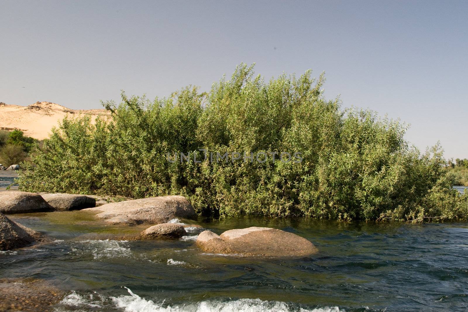 Nile River near Aswan, Egypt by MihaiDancaescu