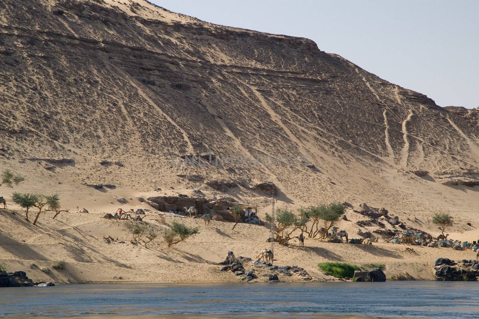 We take a closer look at life on Nile River on MAY 27, 2008, while having a felucca sailboat ride from Aswan to Elephantine Island and to a nubian village.