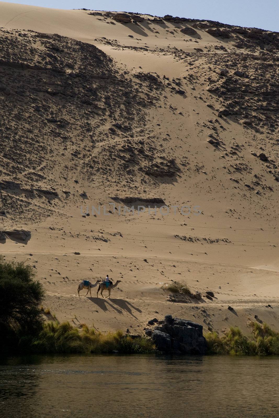 We take a closer look at life on Nile River on MAY 27, 2008, while having a felucca sailboat ride from Aswan to Elephantine Island and to a nubian village.