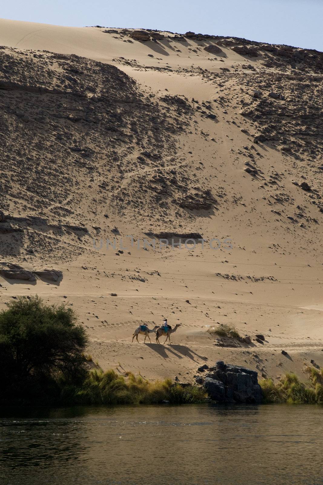 We take a closer look at life on Nile River on MAY 27, 2008, while having a felucca sailboat ride from Aswan to Elephantine Island and to a nubian village.