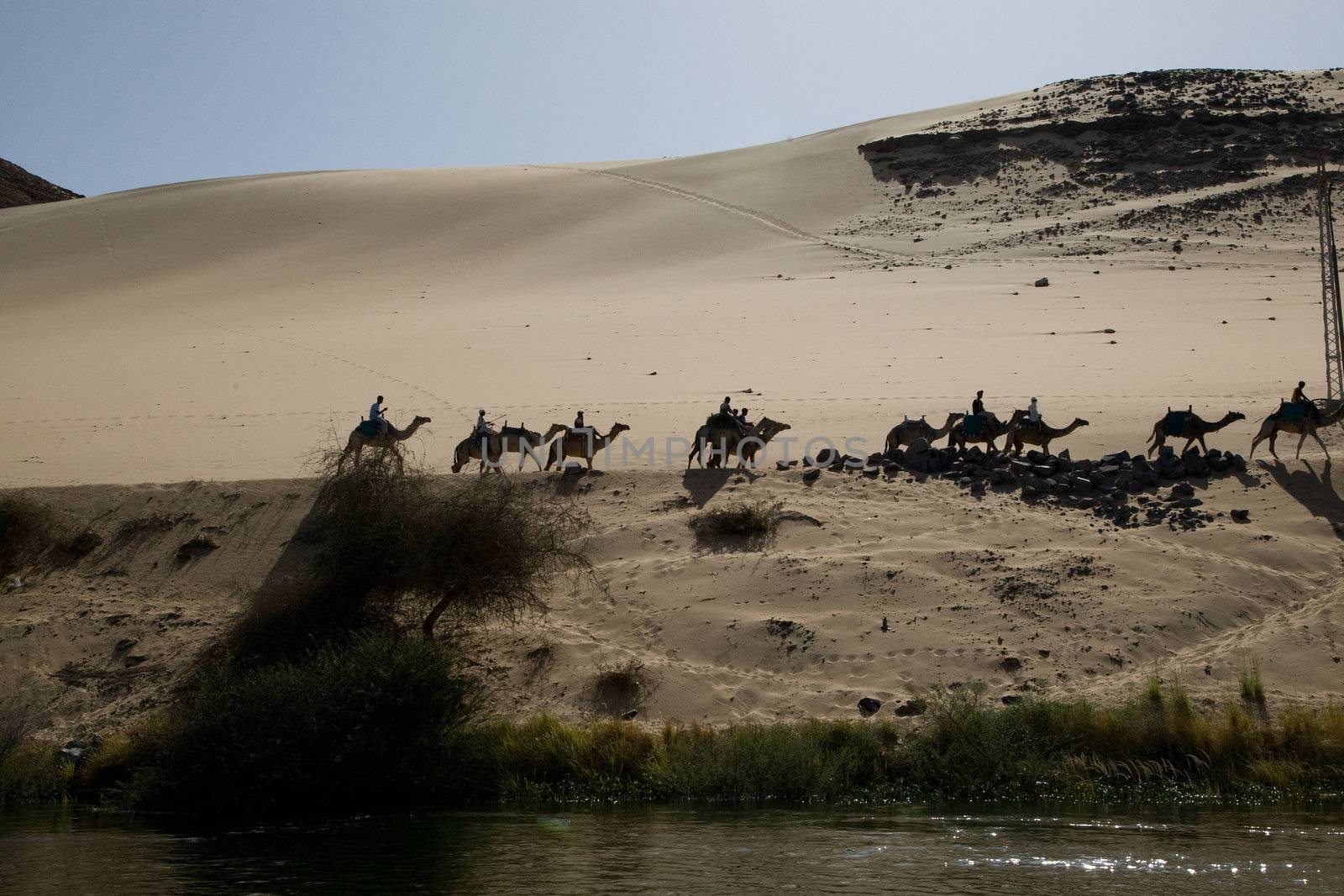 We take a closer look at life on Nile River on MAY 27, 2008, while having a felucca sailboat ride from Aswan to Elephantine Island and to a nubian village.