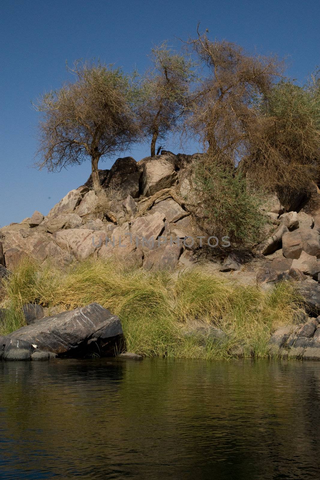 We take a closer look at life on Nile River on MAY 27, 2008, while having a felucca sailboat ride from Aswan to Elephantine Island and to a nubian village.